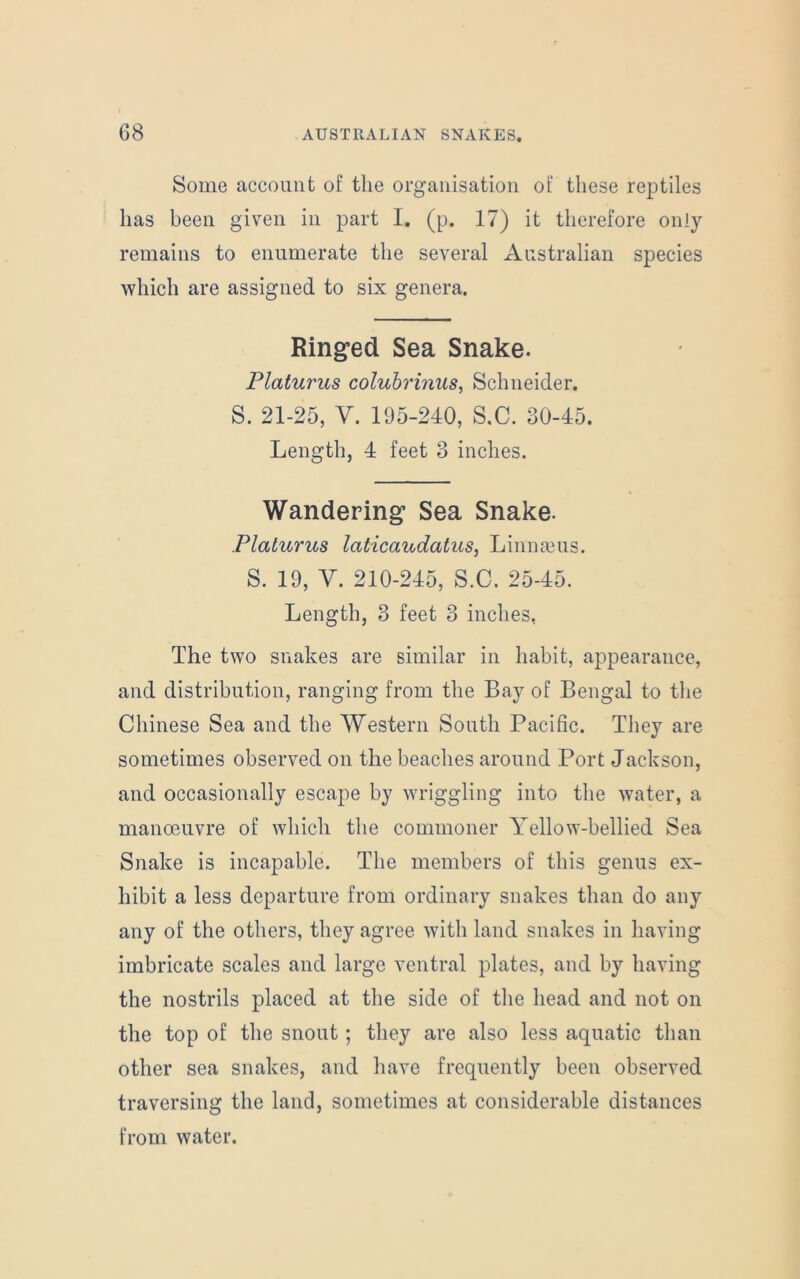 Some account of the organisation of these reptiles has been given in part I. (p. 17) it therefore only remains to enumerate the several Australian species which are assigned to six genera. Ringed Sea Snake. Platurus colubrinus, Schneider. S. 21-25, V. 195-240, S.C. 30-45. Length, 4 feet 3 inches. Wandering Sea Snake. Platurus laticaudatus, Linnaeus. S. 19, V. 210-245, S.C. 25-45. Length, 3 feet 3 inches, The two snakes are similar in habit, appearance, and distribution, ranging from the Bay of Bengal to the Chinese Sea and the Western South Pacific. They are sometimes observed on the beaches around Port Jackson, and occasionally escape by wriggling into the water, a manoeuvre of which the commoner Yellow-bellied Sea Snake is incapable. The members of this genus ex- hibit a less departure from ordinary snakes than do any any of the others, they agree with land snakes in having imbricate scales and large ventral plates, and by having the nostrils placed at the side of the head and not on the top of the snout ; they are also less aquatic than other sea snakes, and have frequently been observed traversing the land, sometimes at considerable distances from water.