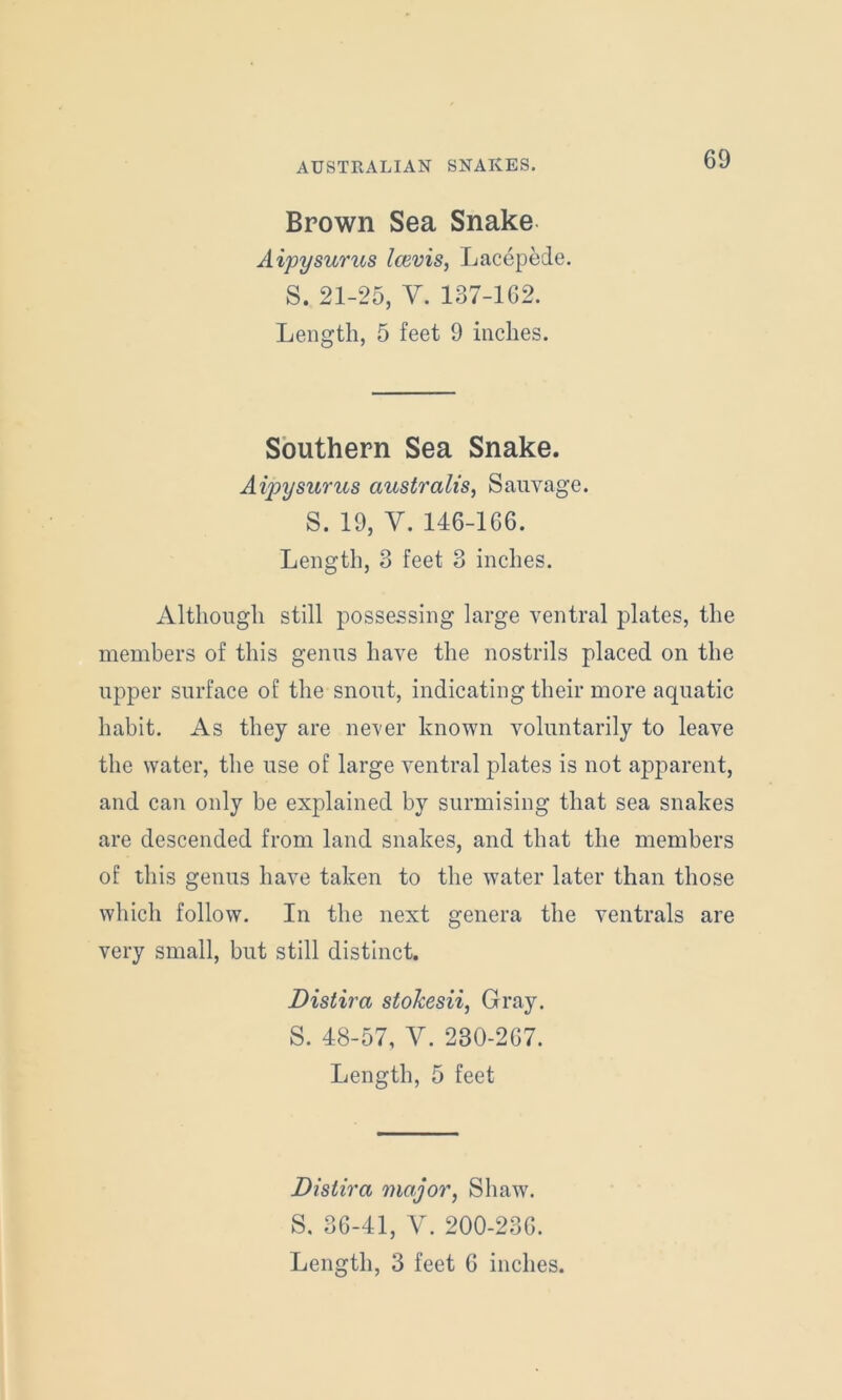 Brown Sea Snake Aipysurus Icevis, Lacepede. S. 21-25, V. 137-162. Length, 5 feet 9 inches. Southern Sea Snake. Aipysurus australis, Sauvage. S. 19, V. 146-166. Length, 3 feet 3 inches. Although still possessing large ventral plates, the members of this genus have the nostrils placed on the upper surface of the snout, indicating their more aquatic habit. As they are never known voluntarily to leave the water, the use of large ventral plates is not apparent, and can only be explained by surmising that sea snakes are descended from land snakes, and that the members of this genus have taken to the water later than those which follow. In the next genera the ventrals are very small, but still distinct. Distira stolcesii, Gray. S. 48-57, V. 280-267. Length, 5 feet Distira major, Shaw. S. 36-41, V. 200-236. Length, 3 feet 6 inches.