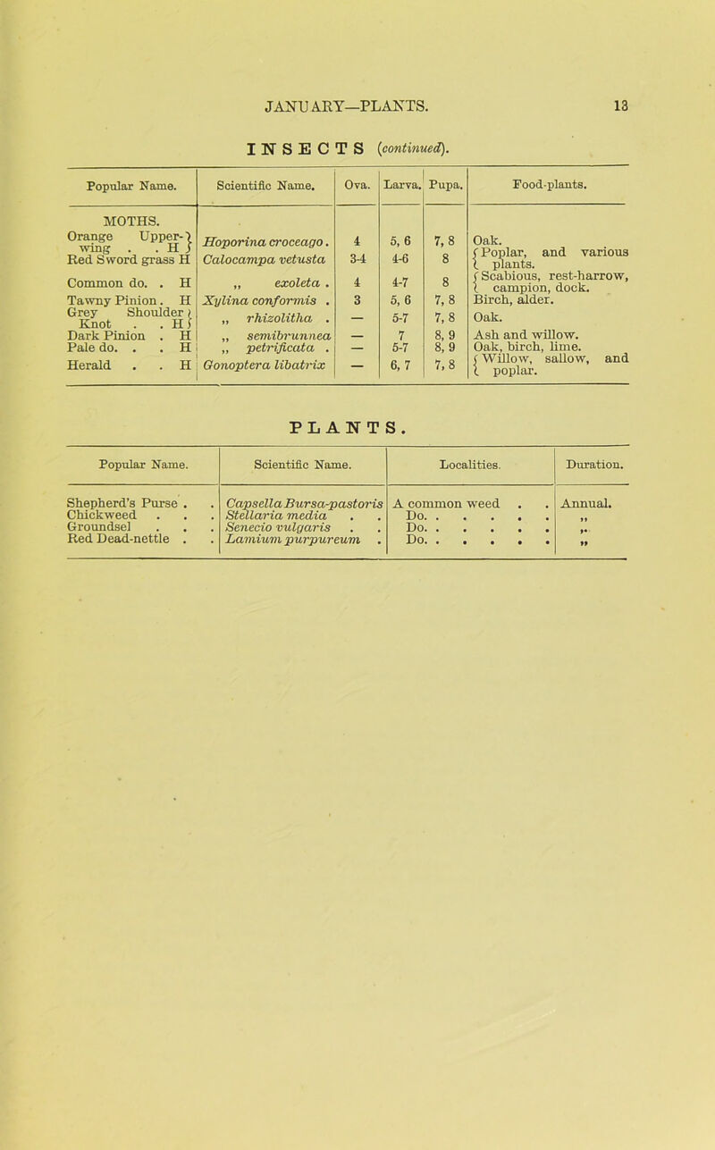 INSECTS [continued). Popular Name. Scientific Name. Ova. Larva. Pupa. Pood-plants. MOTHS. Orange Upper- \ wing . . H j Red Sword grass H Common do. . H Tawny Pinion. H Grey Shoulder) Knot . .Hi Dark Pinion . H Pale do. . . H Herald . . H Hoporina croceago. Calocampa vetusta „ exoleta . Xylina conformis . „ rhizolitlia . „ semibrunnea ,, petrificata . Oonoptera libatrix 4 3-4 4 3 5, 6 4-6 4- 7 5, 6 5- 7 7 5-7 6, 7 7,8 8 8 7,8 7,8 8, 9 8, 9 7,8 Oak. < Poplar, and various l plants. ( Scabious, rest-harrow, X campion, dock. Birch, alder. Oak. Ash and willow. Oak, birch, lime. (Willow, sallow, and l poplar. PLANTS. Popular Name. Scientific Name. Localities. Duration. Shepherd’s Purse . Chickweed Capsella Bursci-pastoris Stellaria media A common weed Do Annual. Groundsel Senecio vulgaris Do Red Dead-nettle . Lamiuvi purp ureum Do »»