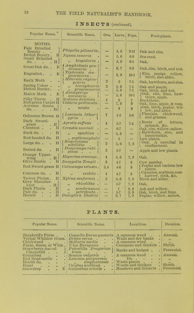 IS INSECTS (continued). Popular Name. * MOTHS. Pale Brindled \ Beauty . . I Belted Beauty. H •Small Brindled 1 do. . . .Hi Great Oak do. . E Engrailed. . E Early Moth Spring Usher . Dotted Border. March Moth . E Silky Tissue . H Red-green Carpet H Autumn Green ) do. . . . H) Ochreous Brown H Dark Sword- 7 grass . .Hi Chestnut . H Dark do. . II Red-headed do. H Large do. . H Dotted do. H Orange Upper- 1 wing Hi Olive Rustic . H Red Sword-grass H Common do. . H Tawny Pinion. LI Grey Shoulder- l knot HI Dark Pinion H Pale do. . H Herald H Scientific Name. Ova. Larva. Pupa. Phigalia pilosaria. 5, 6 9-11 Nyssia zonaria — 5, 6 6-9 ,, hispiclaria . — 5, C 6-1 f Amphidasis pro- \ i dromaria . f — 6, 7 8-2 ( Tephrosia ere- { l puscularia. ) — 8, 9 10-1 C Hibernia rupica-) 1 praria \ 2 5 7-1 „ leucophearia 3 5, G 7-1 „ progemmana (Anisopteryx > — 5, 6 7-1 1 cescularia . j — 5, G 10-1 Scotosia dub it at a . I 6 7 Cidaria psittacata. 7, 8 9 „ uiiata — 8 9 (Leueanici lithar-) 7 1-5 5-6 l gyricc . . ) Agrotis suffusa 4 5-7 7-4 Cerastis vaccinii . — 6-7 — ,, spadicea . — 5, 6 — „ erythrocephala (Scopclosoma i l satellitia . ) 5 3 5, 6 7,8 (Dasycampa rubi-)- 5-7 I ginea . . I o Hoporina croceago. i 5, 6 7,8 Dasypolia Templi . 3 4-7 8 Calocampa vetusta. 3,4 4-G 8 „ exoleta . 4 4-7 8 Xylina conformis . 3 5 v 6 7,8 „ rhizolitlia . — 5-7 7,8 „ semibrunnea 7 8, 9 ,, petrificata . Gonoptera libatrix — 5-7 8, 9 — 6, 7 7,8 Food-plants. Oak and elm. Sea-reed. Oak. Oak, elm, birch, and nut. f Elm, poplar, willow, l birch, and alder. Oak, hawthorn, and sloe. Oak and maple. Oak, birch, and nut. jOalc, elm, lime, haw- 1 thorn, apple. Buckthorn. Oak, lime, apple, & rose. tOak, birch, poplar, wil- ( low, and alder. I Plantain, chickweed, t and grasses. i Roots of lettuce, ( spinach, &c. Oak, elm, willow, sallow. J Hawthorn, sloe, and ( honeysuckle. Low plants. f Oak. A cannibal in I confinement. Apple and low plants. Oak. Cow parsley. ( Poplar and various low ) plants. < Campion, scabious,rest- ( harrow, dock, &c. Birch and alder. Oak. Ash and willow. Oak, birch, and lime. Poplar, willow, sallow. PLANTS. Popular Name. Scientific Name. Localities. Duration. Shepherd’s Purse . Vernal Whitlow Grass. Chickweed Furze, Gorse, or Whin . Strawberry-leaved ) Cinquefoil . . ) Groundsel Red Dead-nettle . Henbitdo. Hazel .... Snowdrop . . E Capsella, Bu rsa-pastoris Dr aba verua . Stellaria media Ulex Europceua Dotentilla Fragarias- \ trum ... S Senccio vulgaris Lamium purpureum „ amplexicaule . Corylus avcllana . Gulanthus nivalis . A common weed Walls and dry banks A common weed Commons and thickets . Banks and hedges t A common weed Do Waste places . Woods and thickets Meadows and thickets . Annual. M Shrub. Perennial. Annual. »» Shrub. Perennial.