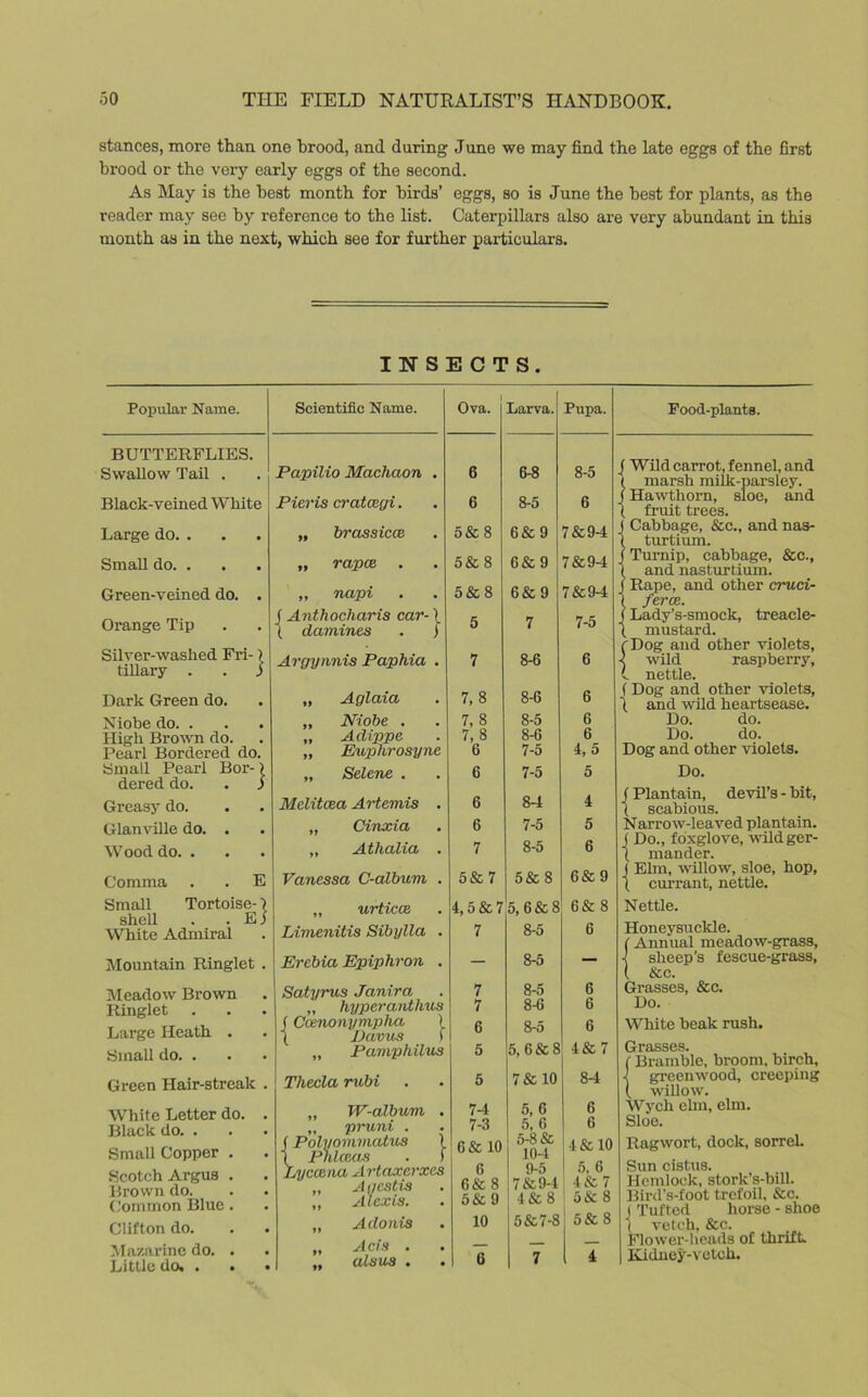 stances, more than one brood, and during June we may find the late eggs of the first brood or the very early eggs of the second. As May is the best month for birds’ eggs, so is June the best for plants, as the reader may see by reference to the list. Caterpillars also are very abundant in this month as in the next, which see for further particulars. INSECTS. Popular Name. Scientific Name. Ova. Larva. Pupa. BUTTERFLIES. Swallow Tail . Papilio Machaon . 6 6-8 8-5 Black-veined White Pieris crataigi. 6 8-5 6 Large do. . „ brassicce 5& 8 6& 9 7&94 Small do. . „ rapee 5 & 8 6& 9 7&94 Green-veined do. . „ napi 5& 8 6&9 7 &94 Orange Tip (Anthocharis car-) \ damines . ) 5 7 7-5 Silver-washed Fri-) tillary . . J Argynnis Paphia . 7 8-6 6 Dark Green do. ,, Aglaia 7,8 8-6 6 Niobe do. . High Brown do. Pearl Bordered do. Small Pearl Bor-) dered do. . J „ Niobe . „ Adippe ,, Euphrosyne „ Selene . 7,8 7,8 6 6 8-5 8-6 7-5 7-5 6 6 4, 5 5 Greasy do. Mclitcea Artemis . 6 84 4 Glanville do. . ,, Cinxia . 6 7-5 5 Wood do. . „ Athalia . 7 8-5 6 Comma . . E Vanessa C-album . 5& 7 5& 8 6&9 Small Tortoise- \ shell . . E j White Admiral „ urticce Limenitis Sibylla . 4,5 & 7 7 5, 6 & 8 8-5 6& 8 6 Mountain Ringlet . Erebia Epiphron . — 8-5 — Meadow Brown Ringlet Large Heath . Small do. . Satyrus Janira „ hyperanthus (Coenonymplia ) ( Davus f „ Pamphilus 7 7 6 5 8-5 8-6 8-5 5, 6 & 8 6 6 6 4&7 Green Hair-streak . Thecla rubi 5 7&10 84 White Letter do. . Black do. . Small Copper . „ W-album . „ pruni . f Polyoinmatus ) ( phlceas . f 74 7-3 6& 10 5, 6 5,6 5-8 & 104 6 6 4 & 10 Scotch Argus . Brown do. Common Blue. Clifton do. Lyccena Artaxerxes „ Agestis . ,, Alexis. „ Adonis R 6& 8 o&9 10 9-5 7 & 94 4 & 8 5&7-8 5, 6 4S7 5& 8 5& 8 Mazarine do. . Little do. . „ Acts . „ alsus . 6 7 4 Food-plants. {Wild carrot, fennel, and marsh milk-parsley. Hawthorn, sloe, and fruit trees. j Cabbage, &c., and nas- 1 turtium. j Turnip, cabbage, &c., 1 and nasturtium, j Rape, and other crruci- { ferce. (Lady’s-smock, treacle- ( mustard. fDog and other violets, 1 wild raspberry, L nettle. ( Dog and other violets, \ and wild heartsease. Do. do. Do. do. Dog and other violets. Do. (Plantain, devil’s - bit, ( scabious. Narrow-leaved plantain. J Do., foxglove, wildger- \ mander. J Elm, willow, sloe, hop, ( currant, nettle. Nettle. Honeysuckle. ( Annual meadow-grass, \ sheep’s fescue-grass, ( &c. Grasses, &c. Do. White beak rush. Grasses. (Bramble, broom, birch, ■! greenwood, creeping ( willow. Wych elm, elm. Sloe. Ragwort, dock, sorrel. Sun cistus. Hemlock, stork’s-bill. Bird’s-foot trefoil. See. j Tufted horse - shoe t vetch, &c. Flower-heads of thrift. Kidney-vetch.