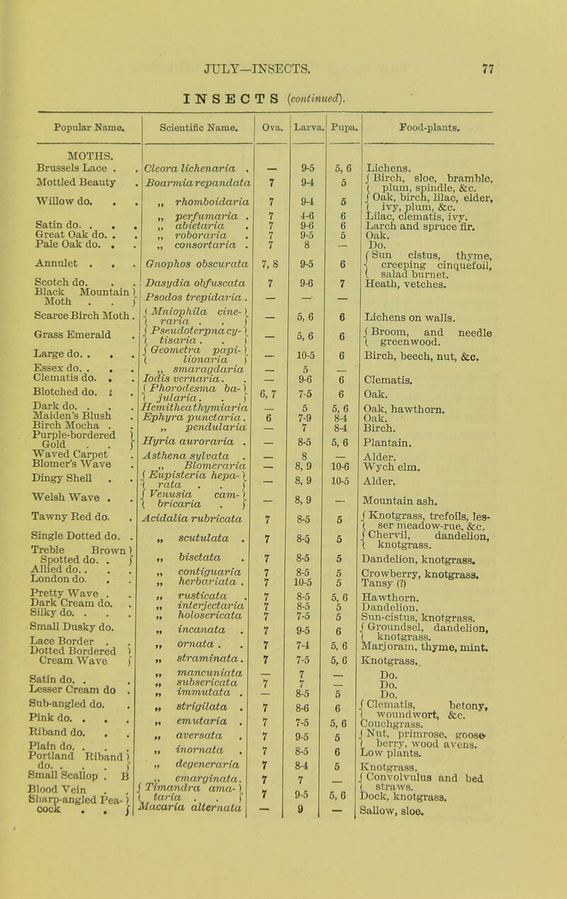 INSECTS (continued). Popular Name. MOTHS. Brussels Lace . Mottled Beauty Willow do. Satin do. . . Great Oak do. . Pale Oak do. . Annulet . Scientific Name. Clcora lichenaria . Boarmia repanclata „ rhomboidaria „ per/umaria . „ abtetaria „ roboraria „ consortaria . Gnophos obscurata Scotch do. Black Mountain) Moth . . J Scarce Birch Moth. Grass Emerald Large do. . . Essex do. . Clematis do. . Blotched do. i Dark do. . Maiden’s Blush Birch Mocha . Purple-bordered Gold Waved Carpet Blomer’s Wave Dingy Shell Welsh Wave . Dcisydia obfuscata Psodos trepidaria. I Mniopkila cine- ) I rana . . i Pseudoterpna cy-) tisaria. . ) Geometra papi-1 I lionaria I „ smaragdaria Iodis vernaria. f Phorodesma ha-) 1 jularia. . f . Hcmithcathymiaria . Ephyra punctaria. „ pendularia Hyria auroraria . . Asthena sylvata . • „ Blomeraria f Eupisteria hepci- \ I rata . . f ( Vcnusia cam- i ‘ ( bricaria . } Tawny Red do. . Acidalia rubricata Single Dotted do. . Treble Brown) Spotted do. . ) Allied do.. London do. Pretty Wave . Dark Cream do. Silky do. . Small Dusky do. Lace Border . Dotted Bordered 1 Cream Wave ( Satin do. . Lesser Cream do . Sub-angled do. Pink do. . Riband do. Plain do. . Portland Riband) do. . . . f Small Scallop . B Blood Vein Sharp-angled Pea-1 cock . . / „ scutulata . „ bisetata „ contiguaria „ herbariata . „ rusticata „ interjectaria »* holosericata „ incanata „ ornata. „ straminata. „ mancuniata „ subsericata „ immutata . „ strigilata . „ emutaria . „ aver sat a „ inornata „ dcgencraria „ emarginata. j Timcmdra ama- \ I taria . . | Macaria allernata Ova. Larva . Pupa. Food-plants. 9-5 5, 6 Lichens. 9-1 J Birch, sloe, bramble, ( plum, spindle, &c. 7 9-4 5 f Oak, birch, lilac, elder. ( ivy, plum, &c. 7 4-6 6 Lilac, clematis, ivv. 7 9-6 6 Larch and spruce fir. 7 9-5 5 Oak. 7 7,8 8 9-5 — Do. f Sun cistus, thyme, 6 -j creeping cinquefoil, ( salad burnet. 7 9-6 7 Heath, vetches. 5, 6 6 Lichens on walls. 5, 6 f Broom, and needle I greenwood. — 10-5 6 Birch, beech, nut, &c. — 5 9-6 6 Clematis. 6, 7 7-5 6 Oak. — 5 5, 6 Oak, hawthorn. 6 7-9 8-4 Oak. — 7 8-4 Birch. — 8-5 5, 6 Plantain. — 8 — Alder. — 8, 9 10-6 Wych elm. — 8, 9 10-5 Alder. — 8, 9 — Mountain ash. 7 8-5 5 f Knotgrass, trefoils, les- 1 ser meadow-rue, &c. 7 8-5 5 j Chervil, dandelion, I knotgrass. 7 8-5 5 Dandelion, knotgrass. 7 8-5 5 Crowberry, knotgrass. 7 10-5 5 Tansy (?) 7 8-5 5, 6 Hawthorn. 7 8-5 5 Dandelion. 7 7-5 5 Sun-cistus, knotgrass. 7 9-5 6 ( Groundsel, dandelion, ( knotgrass. 7 74 5, 6 Marjoram, thyme, mint. 7 7-5 5, 6 Knotgrass.. — 7 — Do. 7 7 — Do. — 8-5 5 Do. 7 8-6 6 / Clematis, betony. ( woundwort, &c. 7 7-5 5,6 Couchgrass. 7 9-5 5 J Nut, primrose, goose- 1 berry, wood aveus. 7 8-5 6 Low plants. 7 8-4 5 Knotgrass. 7 7 f Convolvulus and bed 9-5 1 straws. 7 5,6 Dock, knotgrass. — 9 — Sallow, sloe.