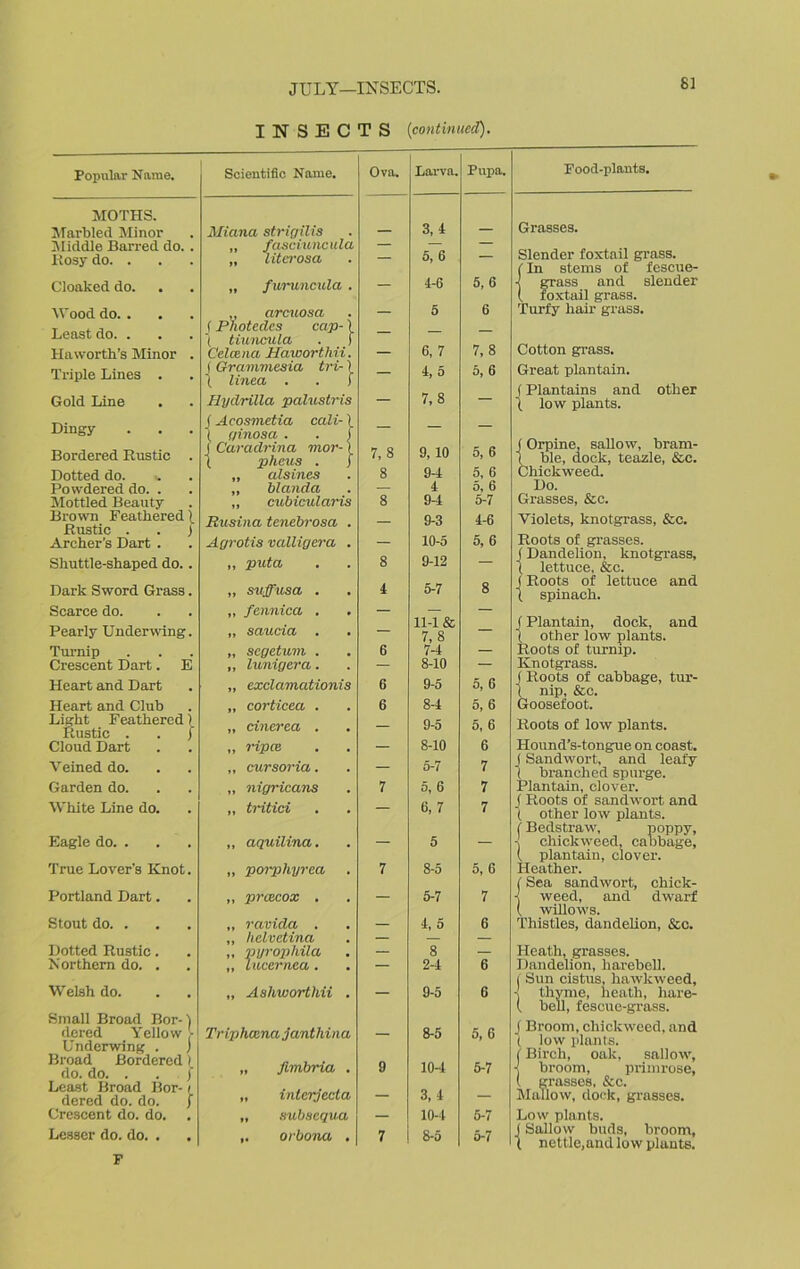 INSECTS continued). Popular Name. Scientific Name. Ova. Larva. Pupa. Food-plants. MOTHS. Grasses. Marbled Minor Miana strigilis — 3, 4 — Middle Barred do. . Rosy do. . „ fcisciuncula „ literosa — 5, 6 — Slender foxtail grass. (In stems of fescue- Cloaked do. „ furuncula. — 4-6 5, 6 •] grass and slender ( foxtail grass. Wood do. . „ arcuosa — 5 6 Turfy hair grass. Least do. . (Photecles cap-) \ tiuncula . f — — — Cotton grass. Haworth’s Minor . Celcena Hawortliii. — 6, 7 7, 8 Triple Lines . j Grammesia tri-1 t linea . . ) — 4, 5 7,8 5, 6 Great plantain, f Plantains and other Gold Line Hydrilla palustris — t low plants. Dingy Bordered Rustic . (Acosmetia cali-1 1 ginosa . . ) j Caradrina mor-) ( phcus . | 7, 8 9, 10 5, 6 (Orpine, sallow, bram- ( ble, dock, teazle, &c. Dotted do. „ * alsines 8 9-4 5, 6 Chickweed. Powdered do. . „ blanda — 4 5, 6 Do. Mottled Beauty „ cubicidaris 8 9-4 5-7 Grasses, &c. Brown Feathered |_ Rustic . . j Archer’s Dart . Rusina tenebrosa . — 9-3 4-6 Violets, knotgrass, &c. Agrotis valligera . — 10-5 5, 6 Roots of grasses. Shuttle-shaped do.. „ put a 8 9-12 — (Dandelion, knotgrass, 1 lettuce, &c. „ suffusa . 5-7 8 j Roots of lettuce and Dark Sword Grass. 4 | spinach. Scarce do. „ fennica . — — — f Plantain, dock, and Pearly Underwing. 11-1 & „ sciucici — 7, 8 ( other low plants. Turnip „ scgetum . 6 7-4 — Roots of turnip. Crescent Dart. E ,, lunigera. — 8-10 — Knotgrass. Heart and Dart „ exclamationis 6 9-5 5, 6 j Roots of cabbage, tur- ( nip, &c. Heart and Club „ corticea . 6 8-4 5, 6 Goosefoot. Light Feathered1 Rustic . . f „ cinerea . — 9-5 5, 6 Roots of low plants. Cloud Dart „ ripce — 8-10 6 Hound’s-tongue on coast. Veined do. ,, cursoria. — 5-7 7 j Sandwort, and leafy ( branched spurge. Garden do. „ nigricans 7 5, 6 7 Plantain, clover. White Line do. „ tritici — 6, 7 7 ( Roots of sandwort and 1 other low plants. (Bedstraw, poppy, ■l chickweed, cabbage, ( plantain, clover. Eagle do. . ,, aquilina. — 5 — True Lover’s Knot. „ porphyrea, 7 8-5 5, 6 Heather. (Sea sandwort, chick- Portland Dart. ,, prcecox . — 5-7 7 -j weed, and dwarf ( willows. Stout do. . „ ravida . — 4, 5 6 Thistles, dandelion, &c. „ helvetina — — — Dotted Rustic. „ pyrophila — 8 — Heath, grasses. Northern do. . ,, lucernca . — 2-4 6 Ilandelion, harebell. (Sun cistus, hawkweed, Welsh do. „ Asliworthii . — 9-5 6 -! thyme, heath, hare- ( bell, fescue-grass. Small Broad Bor-) dered Yellow - Underwing . j Broad Bordered 1 do. do. . . )' Least Broad Bor- t dered do. do. / Triphamajanthina „ fimbria . 9 8-5 10-4 5, 6 5-7 f Broom, chickweed, and '( low plants. (Birch, oak, sallow, -] broom, primrose. „ inlcrjecla — 3,4 — ( grasses, &c. Mallow, dock, grasses. Crescent do. do. „ subscqua — 10-4 5-7 Low plants. Lesser do. do. , . ,. orbona . 7 8-5 5-7 J Sallow buds, broom, ( nettle,and low plants.