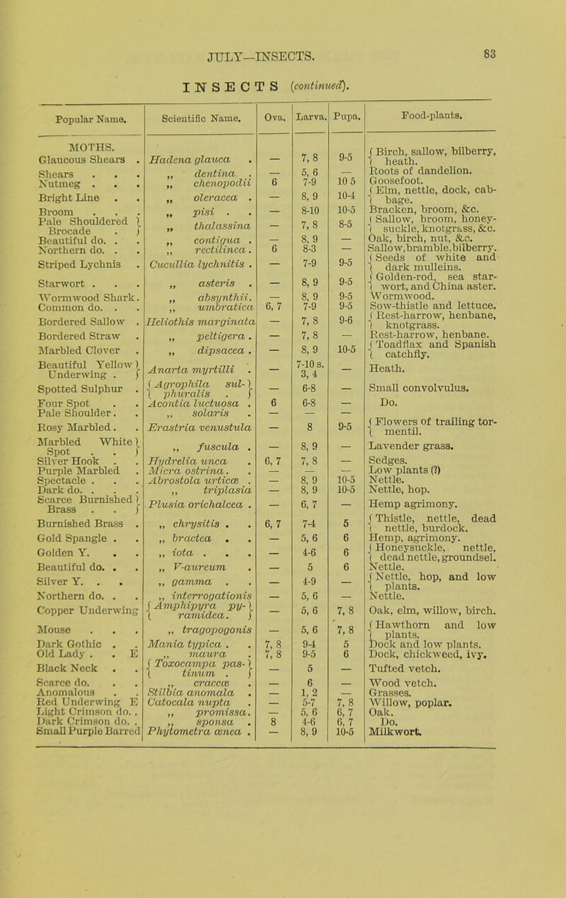 Popular Name. MOTHS. Glaucous Shears . Shears Nutmeg . Bright Line Broom Pale Shouldered \ Brocade . ) Beautiful do. . Northern do. . Striped Lychnis Starwort . Wormwood Shark. Common do. . Bordered Sallow . Bordered Straw Marbled Clover Beautiful Yellow) Under wing . f Spotted Sulphur . Pour Spot Pale Shoulder. Bosy Marbled. Marbled White) Spot . . ) Silver Hook Purple Marbled Spectacle . Hark do. . Scarce Burnished) Brass . . / Burnished Brass . Gold Spangle . Golden Y. Beautiful do. . Silver Y. . Northern do. . Copper Underwing Mouse Dark Gothic . Old Lady . . E Black Neck Scarce do. Anomalous Red Underwing E Light Crimson do. . Dark Crimson do. . Small Purple Barred INSECTS (continued). Scientific Name. Hadena glauca „ dentina „ ohenopodii „ oleracea . „ pisi . „ thalassina „ contif/ua . „ rectilinea. Cucullia lycJinitis . „ asteris ,, absynthii. „ uvibratica Ileliothis marginata „ pe.ltige.ra. „ dipsacea . Anaria myrtilli . f Agrophila sul-1 1 phurcdis . f Acontia hictuosa . „ Solaris Erastria vcnustula ,, fuscula . Hydrelia unca Micra ostrina. Abrostola urticce . „ triplasia Plusia orichalcea . „ chrysitia . „ bractea . „ iota . „ V-aureum „ gamma . „ intcrrogationis f Amphipyra py-) ( ramidea. ) „ tragopogonis Mania typica . „ maura ( Toxocampa pas-) \ tinum . j „ cracccc Stilbia anomala Cutocala nupta „ promissa. ,. sponsa Phytomelra amea . Ova. Larva. Pupa. Pood-plants. 7,8 9-5 J Birch, sallow, bilberry, — heath. 5, 6 — Roots of dandelion. 6 7-9 10 5 Goosefoot. 8, 9 10-4 f Elm, nettle, dock, cab- ( bage. 8-10 10-5 Bracken, broom, &c. — 7,8 8-5 1 Sallow, broom, honey- 1 suckle, knotgrass, &c. 8, 9 — Oak, birch, nut, &c. 6 8-3 — Sallow,bramble,bilberry. 7-9 9-5 J Seeds of white and dark mulleins. Golden-rod, sea star- 8, 9 9-5 wort, and China aster. — 8, 9 9-5 Wormwood. 6. 7 7-9 9-5 Sow-thistle and lettuce. 7,8 9-6 ( Rest-harrow, henbane, 1 knotgrass. — 7, 8 8, 9 10-5 Rest-harrow, henbane. ( Toadflax and Spanish ( catclifly. — 7-10 s. 3,1 — Heath. — 6-8 — Small convolvulus. 6 6-8 — Do. 8 9-5 J Flowers of trailing tor- 1 men til. — 8, 9 — Lavender grass. 6, 7 7, 8 — Sedges. — — — Low plants (?) — 8, 0 10-5 Nettle. — 8, 9 10-5 Nettle, hop. — 6, 7 — Hemp agrimony. 6, 7 74 1 Thistle, nettle, dead nettle, burdock. — 5, 6 6 Hemp, agrimony. 4-6 6 Honeysuckle, nettle. . dead nettle, groundsel. 5 6 Nettle. 4-9 J Nettle, hop, and low plants. — 5, 6 — Nettle. — 5, 6 7, 8 Oak, elm, willow, birch. 5, 6 7,8 J Hawthorn and low plants. 7, 8 94 5 lock and low plants. 7,8 9-5 6 Dock, chickweed, ivy. — 5 — Tufted vetch. 6 Wood vetch. — 1, 2 — Grasses. — 5-7 7,8 Willow, poplar. — 5, 6 6, 7 Oak. 8 4-6 6, 7 Do. — 8, 9 10-5 Milkwort.