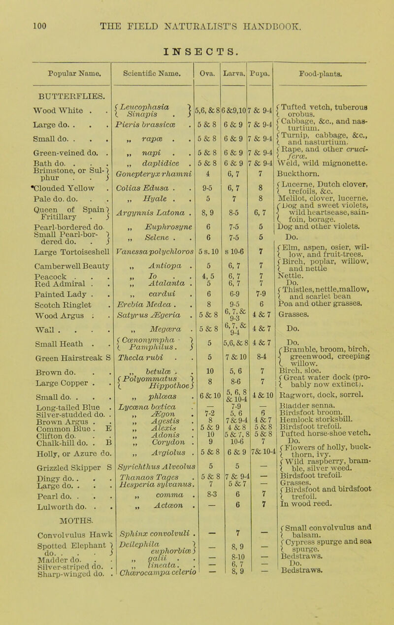 INSECTS. Popular Name. Scientific Name. Ova. BUTTERFLIES. Wood White . Large do. . Small do. . Green-veined do. Bath do. . Brimstone, or Sul- phur •Clouded Yellow Pale do. do. Queen of Spain I Fritillary . j Pearl-bordered do Small Pearl-bor- ) dered do. . ) Large Tortoiseshell Camberwell Beauty Peacock . Red Admiral . Painted Lady . Scotch Ringlet Wood Argus ; Wall . Small Heath . Green Hairstreak S Brown do. Large Copper . Small do. . Long-tailed Blue . Silver-studded do. . Brown Argus . Common Blue . E Clifton do. Chalk-hill do. . B Holly, or Azure do. Grizzled Skipper S Dingy do.. Large do. . Pearl do. . Lulworth do. . MOTHS. Convolvulus Hawk Spotted Elephant 1 do. . . • S Madder do. Silver-striped do. . Sharp-winged do. . (Leucophasia I l Sinapis . j Pieris brassicce „ rapce . „ ncipi ,, daplidice . Goncpteryx rhamni Colias Edusa . ,, Hyale . Argynnis Latona . „ Euphrosyne ,, Selene . Vanessa polycliloros „ Antiopa „ Io „ Atalanta „ cardui Erebia Medea . Satyrus JEgeria „ Megcera ( Ccenonympha X Pamphilus. Thecla rubi 5,6, &8 6&9,10 Larva. Pupa. „ betulce . < Polyommatus ) X HippotlioeS „ phlceas Lyccena bcetica „ JEgon „ Agestis ,, Alexis „ Adonis „ Corydon . „ Argiolus . Sy7-ichthus Alveolus Thanaos Tages Hesperia sylvanus. „ comma . „ Actceon . Sphinx convolvuli Deilcphila > euphorbice ) „ galii. . „ lineata. Chcerocampa celerio 5 & 8 5 & 8 5 & 8 5 & 8 I 9-5 5 8, 9 6 6 5 s. 10 5 4,5 5 6 8 5 & 8 5 & 8 5 5 10 8 6 & 10 7- 2 8 5 & 9 10 9 5 & 8 5 5 & 8 7 8- 3 6 & 9 6 & 9 6 & 9 6 & 9 6,7 6,7 7 8- 5 7-5 7- 5 s 10-6 6,7 6, 7 6, 7 6- 9 9- 5 6, 7,8c 9- 3 6,7,8c 94 5,6, & 8 7 & 10 5, 6 8- 6 5, 6, 8 6 104 7- 9 5, 6 7 & 94 4 & 8 5 & 7, 8 10- 6 6 & 9 5 7 & 94 5 & 7 6 6 8, 9 8-10 6, 7 8, 9 Pood-plants. ( Tufted vetch, tuberous l orobus. ( Cabbage, &c., and nas- X turtium. (Turnip, cabbage, &c., X and nasturtium. < Rape, and other cruci- l ferae. Weld, wild mignonette. Buckthorn. ( Lucerne, Dutch clover, X trefoils, &c. Melilot, clover, lucerne. i Log and sweet violets, 1 wild heartsease, sain- (. foin, borage. Dog and other violets. Do. (Elm, aspen, osier, wil- X low, and fruit-trees, f Birch, poplar, willow, X and nettle Nettle. Do. ( Thistles, nettle,mallow, X and scarlet bean Poa and other grasses. Grasses. Do. Do. (■Bramble, broom, birch, J. greenwood, creeping (_ willow. Birch, sloe. ( Great water dock (pro- | X bably now extinct). Ragwort, dock, sorrel. Bladder senna. 6 Birdsfoot broom. 4 & 7 Hemlock storksbill. 5 & 8 Birdsfoot trefoil. 5 & 8 Tufted horse-shoe vetch. 7 I Do. nsr m i ( Flowers of holly, buck- /AiO-ll thorn, ivy. f Wild raspberry, bram- X ble, silver weed. Birdsfoot trefoil. Grasses. ( Birdsfoot and birdsfoot { trefoil. In wood reed. ( Small convolvulus and X balsam. f Cypress spurge and sea 1 spurge. Bedstraws. Do. Bedstraws. 7& 94 7 & 9-1 7 & 9-1 7 & 9-4 7 & 94 7 8 8 6,7 5 5 7 7 7 7 7-9 6 4 & 7 4 & 7 4 & 7 84 7 7 4 & 10