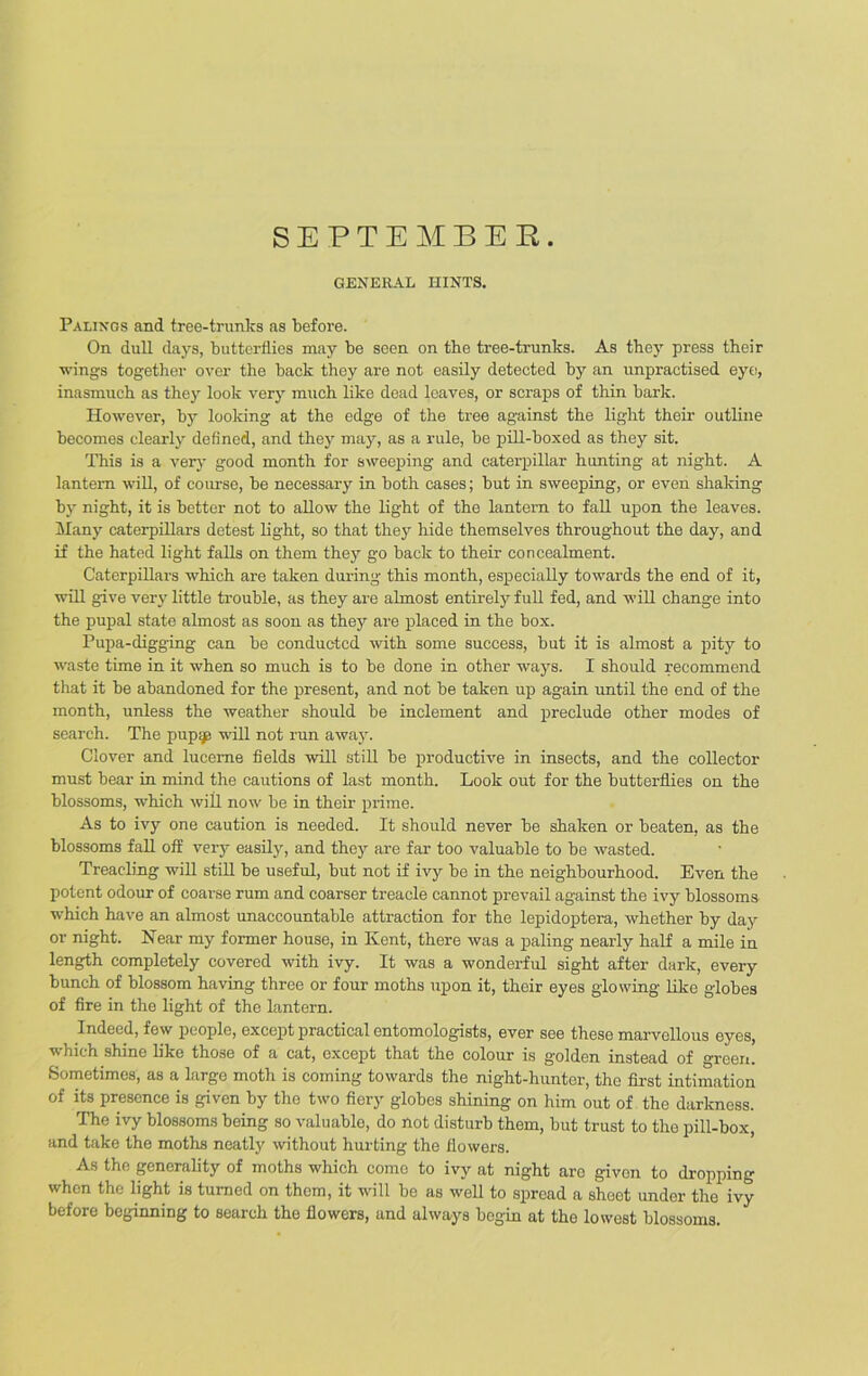 SEPTEMBER. GENERAL HINTS. Palings and tree-trunks as before. On dull days, butterflies may be seen on the tree-trunks. As they press their wings together over the back they are not easily detected by an unpractised eye, inasmuch as they look very much like dead leaves, or scraps of thin bark. However, by looking at the edge of the tree against the light their outline becomes clearly defined, and they may, as a rule, be pill-boxed as they sit. This is a very good month for sweeping and caterpillar hunting at night. A lantern will, of course, be necessary in both cases; but in sweeping, or even shaking by night, it is better not to allow the light of the lantern to fall upon the leaves. Many caterpillars detest light, so that they hide themselves throughout the day, and if the hated light falls on them they go back to their concealment. Caterpillars which are taken during this month, especially towards the end of it, will give very little trouble, as they are almost entirety full fed, and will change into the pupal state almost as soon as they are placed in the box. Pupa-digging can be conducted with some success, but it is almost a pity to waste time in it when so much is to be done in other ways. I should recommend that it be abandoned for the present, and not be taken up again until the end of the month, unless the weather should be inclement and preclude other modes of search. The pupgg will not run away. Clover and lucerne fields will still be productive in insects, and the collector must bear in mind the cautions of last month. Look out for the butterflies on the blossoms, which will now be in their prime. As to ivy one caution is needed. It should never be shaken or beaten, as the blossoms fall ofE very easily, and they are far too valuable to be wasted. Treacling will still be useful, but not if ivy be in the neighbourhood. Even the potent odour of coarse rum and coarser treacle cannot prevail against the ivy blossoms which have an almost unaccountable attraction for the lepidoptera, whether by day or night. Near my former house, in Kent, there was a paling nearly half a mile in length completely covered with ivy. It was a wonderful sight after dark, every bunch of blossom having three or four moths upon it, their eyes glowing like globes of fire in the light of the lantern. Indeed, few people, except practical entomologists, ever see these marvellous eyes, v Inch shine like those of a cat, except that the colour is g'oldcn instead of green. Sometimes, as a large moth is coming towards the night-hunter, the first intimation of its presence is given by the two fiery globes shining on him out of the darkness. The ivy blossoms being so valuable, do not disturb them, but trust to the pill-box, and take the moths neatly without hurting the flowers. As the generality of moths which come to ivy at night are given to dropping when the light is turned on them, it will be as well to spread a sheet under the ivy before beginning to search the flowers, and always begin at the lowest blossoms.