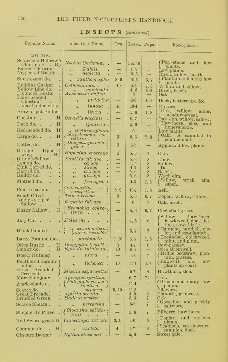 INSECTS (continued). Pop ular Name. MOTHS. Setaceous Hebrew ) Character . B j Barred Chestnut . Neglected Rustic . Square-spot do. Red-line Quaker Yellow Line do. Flounced Rustic Pale - headed j Chestnut . $ Lunar Under-wing. Brown-spot Pinion. Chestnut . . H Dark do. . Red-lieadcd do. Large do. . II H H Dotted do. . H Orange Upper-} wing . . H) Orange Sallow Lemon do. Pink Barred do. Barred do. Ruddy do. Mottled do. . . Centre-bar do. Small Olive Angle - striped } Sallow . . j Dusky Sallow . B July Chi . Black-banded . Large Ranunculus. Olive Rustic Smoky do. H B Dusky Nutmeg Feathered Ranun-} cuius . . I Green - Brindled } Crescent. . j Marvel-de-jour Angle-shades . Scarce do.. Great Brocade. Brindled Green Scarce Shears . Shepherd’s Purse Red Sword-grass H Common do. . H Obscure Dagger Scientific Name. Noctua C-nigrum . „ Dahlii. „ neglect a „ xanthographa Orthosia lota . „ madlenta Anchocclis rufina . „ pistacina „ lunosa . „ litura Cerastis vaccinii . „ spadicea . ,, erythrocephala ' Scopelosoma sa-) tcllitia i rubi- f Dasycampa n \ ginea . Hoporina croceago Xantliia citrago ,, ccrago „ silago „ aurago „ gilvago „ ferruginea (Cirrhcedia xc-\ X rampelina . j Tethea retusa . E uperia fulvago f Eremobia ochro-} (. leuca . . j Polia chi . ( ,, xanthomistaX l (nigro-cincta N) j „ flavicincta . Dasypolia templi . Epunda lutulenta. ,, nigra „ lichenea . Miselia oxyacanthoe Agriopis ciprilina . ( Phlogophora me-} (. ticulosa ) ,, empyrea . Aplecta occulta Hadena protea „ peregrina . f Cloantha solida-} I ginis . . j Calocampa vetusta „ cxoleta Xylina zinckenii . Ova. 8. 9 9 3.4 4 Larva. Pupa. 8, 9 10 10 9, 10 3 10 10 9, 10 4 & 10 — 9- 5 — 10- 5 I — 10-5 4-6 4, 5 5 4- 6 10-4 5, 6 C, 7 5, 6 5 5, 6 5- 7 5, 6 5, 6 4, 5 4-6 5, 6 5, 6 4-6 10-7 5, 6 6 5, 6 4.5 6.7 6, 7 4- 7 10- 4 5, 6 11- 7 5- 7 6, 7 114 11-5 4. 5 5, 6 5-7 5.6 4-6 4-7 5, 6 6,7 7, 8 6-8 6-8 7,8 7,8 7 8 8 8 8 8 7,8 7, 8 6,7 7 6.7 6 7 7.8 8 7 6, 7 8 j 7-9 ! 7 . O 7 7 7 I 8 i 8 Food-plants. f Pea - stems an d lo w l plants. Low plants. Birch, sallow, heath, f Plantain and many low t plants. Willow and sallow. Birch, beech. Oak. Dock, buttercups, &c. Grasses. f Oak, willow, alder, l meadow-sweet. Oak, elm, willow, sallow. f Hawthorn, sloe, and l honeysuckle. Low plants. f Oak. A cannibal in (. confinement. Apple and low plants. Oak. Lime. Sallow. Do. Beech. Wych elm. (Sallow, wych elm, l aspen. Ash. Poplar, willow, sallow. Oak, birch. Cocksfoot grass. {Sallow, hawthorn, hawkweed, dock, let- tuce, sow-thistle. ( Campion, harebell, vio- ( let, and sea-plantain. C Groundsel, chick weed, l mint, and plum. Cow-parsley. Corn Gromwell. (Hedge bedstraw, plan- l tain, grasses. (Ragwort, and low 1 plants on coast. Hawthorn, sloe. Oak. (Broom and many low I plants. Pilewort. Plantain, primrose. Oak. < Goosefoot and prickly X saltwort. Bilberry, hawthorn. < Poplar, and various l plants, (Scabious, rest-harrow ( campion, dock. Sweet gale.