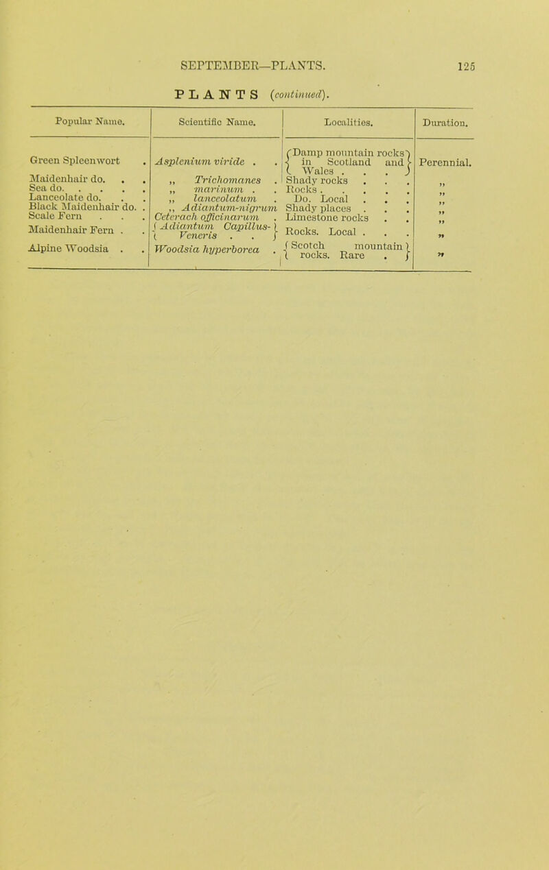 PLANTS (continued). Popular Name. Scientific Name. Localities. Duration. Green Spleen wort Maidenhair do. Sea do Lanceolate do. Black Maidenhair do. . Scale Fern Maidenhair Fern . Alpine Woodsia . Asplenium viricle . . j „ Trichomanea „ marinum . „ lanceolatum. ,, A diantum-ni\grum Cetcrach ojfficinamm j Adiantum Capillus-) t Veneris . . j Woodsia hyperborea 1 fDamp mountain rocks' < in Scotland and (. Wales . _ Shady rocks Rocks .... Do. Local Shady places . Limestone rocks Rocks. Local . f Scotch mountain 1 rocks. Rare Perennial. »» >» »> »» »» >»