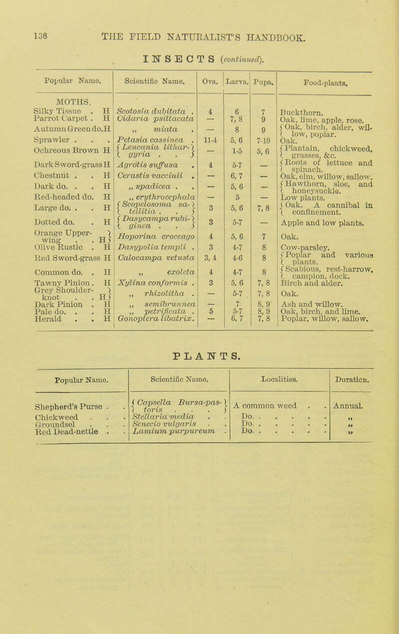 INSECTS (continued). Popular Name. Scientific Name. Ova. Larva. Pupa. Pood-plants. MOTHS. Silky Tissue . II Scotosia dubitata . 1 6 7 Buckthorn. Parrot Carpet . H Oidaria psittacata — 7,8 9 Oak, lime, apple, rose. Autumn Green do.Ii „ miata — 8 9 < Oak, birch, alder, wil- t low, poplar. Oak. Sprawler . . Pctasia cassinea . 114 5, C 7-10 Ochreous Brown H I Leucania lithar- \ 1-5 5, 6 f Plantain, chickweed. t gyria . . i l grasses, &c. Dark S word-grass H Agrotis suffusa 4 5-7 — (Roots of lettuce and 1 spinach. Chestnut . H Cerastis vaccinii . — 6,7 — Oak, elm, willow, sallow. Dark do. . H „ spadicea . — 5, 6 — f Hawthorn, sloe, and 1 honeysuckle. Red-headed do. H „ erythrocephalci (Scopelosoma sa-) X tcllitia . . $ — 5 — Low plants. Large do. . H 3 5, 6 7,8 (Oak. A cannibal in 1 confinement. Dotted do. H ( Dasycampa rubi-) l ginea . . j 3 5-7 — Apple and low plants. Orange Upper- winer h! Hoporina croceago 4 5, 6 7 Oak. Olive Rustic . H lied Sword-grass H Dasypolia templi . Calocampa vetusta 3 3, 4 4-7 4-6 8 8 Cow-parsley, f Poplar and various 1 plants. Common do. . H „ exoleta 4 4-7 8 (Scabious, rest-harrow, l campion, dock. Tawny Pinion. H Xylina conformis . 3 5, 6 7,8 Birch and alder. Grey Shoulder- knot h! „ rhizolitha . — 5-7 7, 8 Oak. Dark Pinion . H „ semibrunnea — 7 8, 9 Ash and willow. Pale do. . H „ petrificata . 5 5-7 8, 9 Oak, birch, and lime. Herald H Gonopterci libatrix. — 6,7 7, 8 Poplar, willow, sallow. PLANTS. Popular Name. Scientific Name. Localities. Duration. Shepherd’s Purse . f Capsella Bursa-pas-) ( toris ) A common weed Annual. Chickweed Stellaria media Do Groundsel Senecio vulgaris Do »» Red Dead-nettle . Lamium purpureum . Do >9