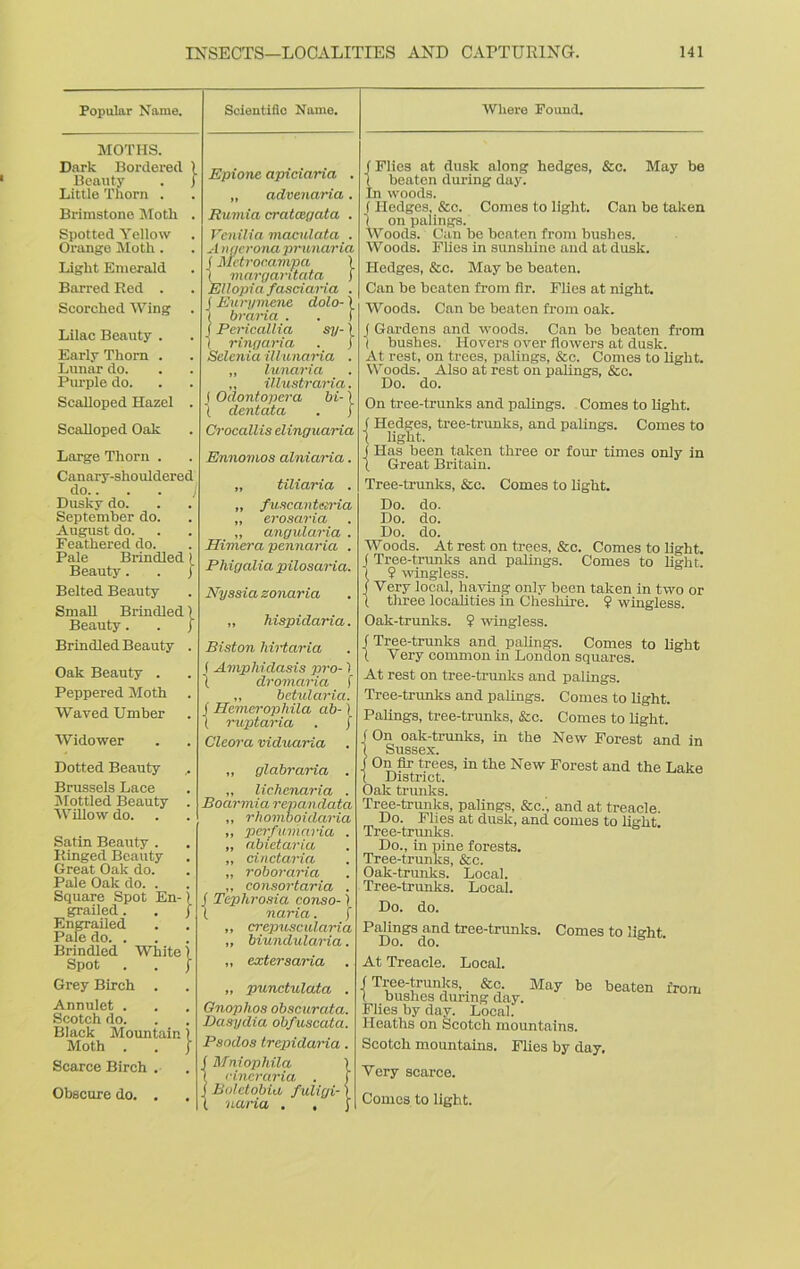 Popular Name. Scientific Name. Wliere Found. MOTHS. Dark Bordered Beauty Little Thorn . Brimstone Moth Spotted Yellow Orange Moth. Light Emerald Barred Red . Scorched Wing Lilac Beauty . Early Thorn . Lunar do. Purple do. Scalloped Hazel Scalloped Oak Large Thorn . Canary-shouldered do. I Dusky do. September do. August do. Feathered do. Pale Brindled1 Beauty. . J Belted Beauty Small Brindled) Beauty. . J Brindled Beauty . Oak Beauty . Peppered Moth Waved Umber Widower Epione apiciaria . „ advenaria. Rumia cratcegata . Vcnilia maculata . A ngerona prunaria j Metrocampa 1 ( margantata f Ellopta fasciaria . J Eurymene dolo- ) l braria . . 1 (Pericallia sy-) ( ring aria . j Selenia iUunaria . „ lunaria ,, illustraria. J Odontopera bi-) (. dentata . J Crocallis elinguaria Ennomos alniaria. „ tiliaria . „ fuscantetria „ erosaria „ angularia . Himera pennaria . Pliig alia pilosaria. Nyssia zonaria „ hispidaria. Biston hirtaria (Amphidasis pro-) I dromaria i „ bctularia. f Hemerophila ab-) ( ruptaria . j Clcora viduaria Dotted Beauty Brussels Lace Mottled Beauty Willow do. Satin Beauty . Ringed Beauty Great Oak do. Pale Oak do. . Square Spot En-) < grailed. . ) j Engrailed Pale do. . Brindled White 1 Spot . . j Grey Birch . Annulet . Scotch do. Black Mountain 1 Moth . . ; Scarce Birch . Obscure do. . „ glabraria . „ lichenaria . Boarmia repandata „ rliomboidama ,, pcrfumaria . „ abietaria „ cinctaria „ roboraria „ consortaria . Tephrosia conso-1 naria. ( ,, crepuscularia „ biundularia. „ extersaria „ punctulata . Gnophos obscurata. Dasydia obfuscata. Psodos trepidai'ia. iMniopliila ) cineraria . f Boletobia fuligi- naria . , j f Flies at dusk along hedges, &c. May be ( beaten during day. In woods. f Hedges, &c. Comes to light. Can be taken I on palings. Woods. Can be beaten from bushes. Woods. Flies in sunshine and at dusk. Hedges, &c. May be beaten. Can be beaten from fir. Flies at night. Woods. Can be beaten from oak. ( Gardens and woods. Can be beaten from ( bushes. Hovers over flowers at dusk. At rest, on trees, palings, &c. Comes to light. Woods. Also at rest on palings, &c. Do. do. On tree-trunks and palings. Comes to light. j Hedges, tree-trunks, and palings. Comes to \ light. J Has been taken three or four times only in \ Great Britain. Tree-trunks, &c. Comes to light. Do. do. Do. do. Do. clo. Woods. At rest on trees, &c. Comes to light. J Tree-trunks and palings. Comes to light, i 9 wingless. j Very local, having only been taken in two or 1 three localities in Cheshire. 9 wingless. Oak-trunks. 9 wingless. f Tree-trunks and palings. Comes to light I Very common in London squares. At rest on tree-trunks and palings. Tree-trunks and palings. Comes to light. Palings, tree-trunks, &c. Comes to light. f On oak-trunks, in the New Forest and in 1 Sussex. j On fir trees, in the New Forest and the Lake 1 District. Oak trunks. Tree-trunks, palings, &c.', and at treacle. Do. Flies at dusk, and comes to light Tree-trunks. Do., in pine forests. Tree-trunks, &c. Oak-trunks. Local. Tree-trunks. Local. Do. do. Palings and tree-trunks. Comes to light Do. do. ' At Treacle. Local. (Tree-trunks, &c. May be beaten from t bushes during day. Flies by day. Local. Heaths on Scotch mountains. Scotch mountains. Flies by day. Very scarce. Comes to light.