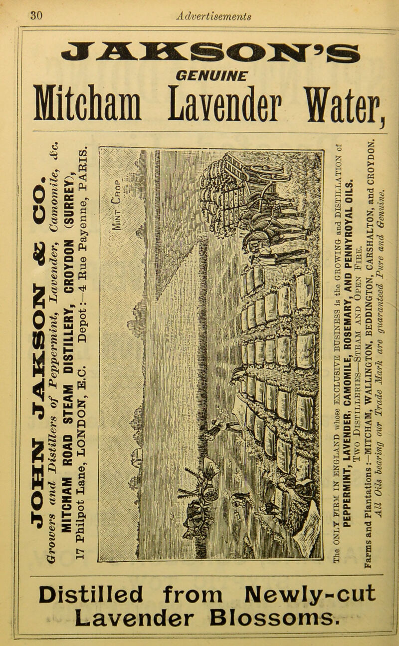 . ^ • D 1 ?* <» <» S> 8 P *»' IS m M P3 ‘<1 Ph »s © d d © Z ®® a © >■ d o p5 DC O ^ CO >• -*-* o ft © = p Ui mu <! IS s> NO HO <*> b?> £ 3 £ as -d 2fc i- o p a & <2 o P DC „ © _ d S c3 < P * -M o o ft eo z o ►-i H <i >4 4 -J »—I ““ Eh O w M -J O < rG N s O e ce © > d g “ d O fia [Vi /V* ^ P? _ a ® © 5 rft < •o CD ^ •rH K> 5 9 CQ < Z g £ <1 Ui vi 52 <5 hO-< g K S g ur5 > -I I A PS a. a. 1* © z o o .C H Z O Q ►< O « U T5 • C § <S -s •. Z 8 o £ H <23 <-l < ^ X § ir> «3 < s> U 8 O ^ h 8 a -S z s s ® Q *. Q <3 s ~ M *» •> z c H O z 5- <3 «s j> ^ > <3 rf* z s ~3 i. s a £ 8 « -s> J. 8 <0 c ^ o « *s* § rs E H T3 c a! CO a E 3 b GENUINE Mitcham Lavender Water, Distilled from Newly-cut Lavender Blossoms.