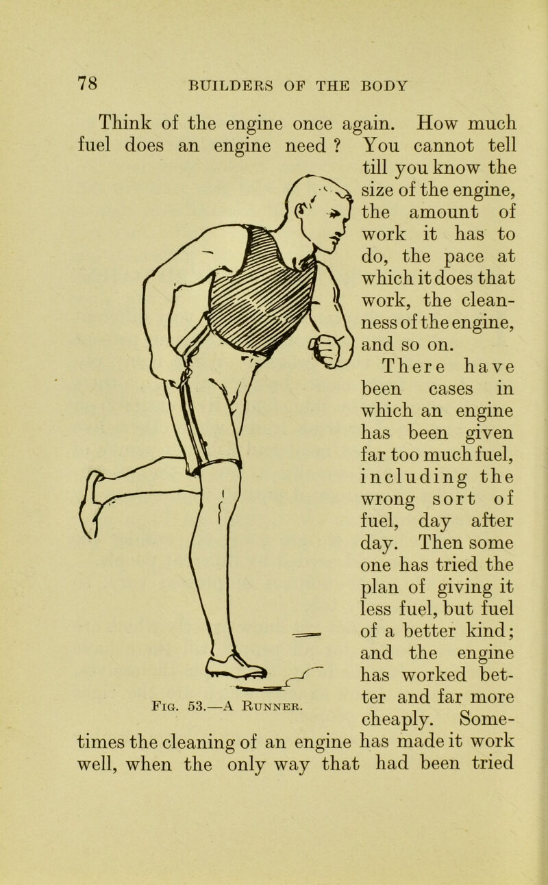 Think of the engine once again. How much fuel does an engine need ? You cannot tell till you know the size of the engine, the amount of work it has to do, the pace at which it does that work, the clean- ness of the engine, and so on. There have been cases in which an engine has been given far too much fuel, including the wrong sort of fuel, day after day. Then some one has tried the plan of giving it less fuel, but fuel of a better land; and the engine has worked bet- ter and far more cheaply. Some- times the cleaning of an engine has made it work well, when the only way that had been tried Fig. 53.—A Runner.