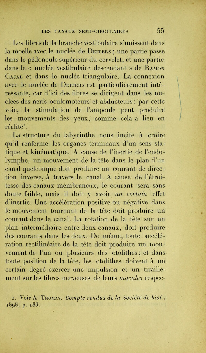 Les fibres de la branche vestibulaire s’unissent dans la moelle avec le nuclée de Deiters ; une partie passe dans le pédoncule supérieur du cervelet, et une partie dans le « nuclée vestibulaire descendant » de Ramon Gajal et dans le nuclée triangulaire. La connexion avec le nuclée de Deiters est particulièrement inté- ressante, car d’ici des fibres se dirigent dans les nu- clées des nerfs oculomoteurs et abducteurs ; par cette voie, la stimulation de l’ampoule peut produire les mouvements des yeux, comme cela a lieu en réalité1. La structure du labyrinthe nous incite à croire qu’il renferme les organes terminaux d’un sens sta- tique et kinématique. A cause de l’inertie de l’endo- lymphe, un mouvement de la tête dans le plan d’un canal quelconque doit produire un courant de direc- tion inverse, à travers le canal. A cause de l’étroi- tesse des canaux membraneux, le courant sera sans doute faible, mais il doit y avoir un certain effet d’inertie. Une accélération positive ou négative dans le mouvement tournant de la tête doit produire un courant dans le canal. La rotation de la tête sur un plan intermédiaire entre deux canaux, doit produire des courants dans les deux. De même, toute accélé- ration rectilinéaire de la tête doit produire un mou- vement de l’un ou plusieurs des otolithes ; et dans toute position de la tête, les otolithes doivent à un certain degré exercer une impulsion et un tiraille- ment sur les fibres nerveuses de leurs macules respec- i. Voir A. Thomas. Compte rendus de la Société de biol., 1898, p. i83.