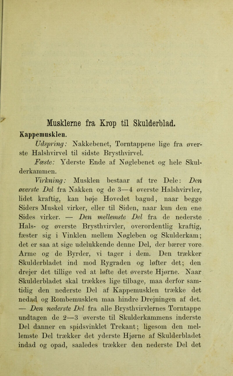 Musklerne fra Krop til Skulderblad. Kappemuskleu. Udspring: Nakkebenet, Torntappene lige fra øver- ste Halshvirvel til sidste Brysthvirvel. Fæste: Yderste Ende af Nøglebenet og hele Skul- derkammen. Virkning: Musklen bestaar af tre Dele: Den øverste Del fra Nakken og de 3—4 øverste Halshvirvler, lidet kraftig, kan bøje Hovedet bagud, naar begge Siders Muskel virker, eller til Siden, naar kun den ene Sides virker. — Den mellemste Del fra de nederste Hals- og øverste Brysthvirvler, overordentlig kraftig, fæster sig i Vinklen mellem Nøgleben og Skulderkam; det er saa at sige udelukkende denne Del, der bærer vore Arme og de Byrder, vi tager i dem. Den trækker Skulderbladet ind mod Bygraden og løfter det; den drejer det tillige ved at løfte det øverste Hjørne. Naar Skulderbladet skal trækkes lige tilbage, maa derfor sam- tidig den nederste Del af Kappemusklen trække det nedad og Bombemusklen maa hindre Drejningen af det. — Den nederste Del fra alle Brysthvirvlernes Torntappe undtagen de 2—3 øverste til Skulderkammens inderste Del danner en spidsvinklet Trekant; ligesom den mel- lemste Del trækker det yderste Hjørne af Skulderbladet indad og opad, saaledes trækker den nederste Del det