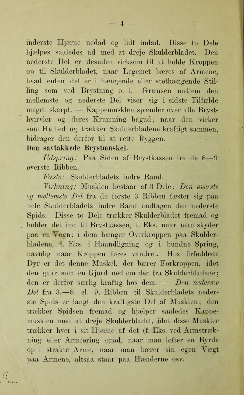 inderste Hjørne nedad og lidt indad. Disse to Dele hjælpes saaledes ad med at dreje Skulderbladet. Den nederste Del er desuden virksom til at holde Kroppen op til Skulderbladet, naar Legemet bæres af Armene, hvad enten det er i hængende eller støthængende Stil- ling som ved Brystning o. 1. Grænsen mellem den mellemste og nederste Del viser sig i sidste Tilfælde meget skarpt. — Kappemusklen spænder over alle Bryst- hvirvler og deres Krumning hagud; naar den virker som Helhed og trækker Skulderbladene kraftigt sammen, bidrager den derfor til at rette Ryggen. Den savtakkede Brystmuskel. Udspring: Paa Siden af Brystkassen fra de 8—9 øverste Ribben. Fæste: Skulderbladets indre Rand. Virkning: Musklen bestaar af 3 Dele: Den øverste og mellemste Del fra de første 3 Ribben fæster sig paa hele Skulderbladets indre Rand undtagen den nederste Spids. Disse to Dele trækker Skulderbladet fremad og holder det ind til Brystkassen, f. Eks. naar man skyder paa en Vogn; i dem hænger Overkroppen paa Skulder- bladene, f. Eks. i Haandligning og i bundne Spring, navnbg naar Kroppen føres vandret. Hos firføddede Dyr er det denne Muskel, der bærer Eorkroppen, idet den gaar som en Gjord ned om den fra Skulderbladene; den er derfor særlig kraftig bos dem. — Den nederste Del fra 3.—8. el. 9. Ribben til Skulderbladets neder- ste Spids er langt den kraftigste Del af Musklen; den trækker Spidsen fremad og hjælper saaledes Kappe- musklen med at dreje Skulderbladet, idet disse Muskler trækker hver i sit Hjørne af det (f. Eks. ved Armstræk- ning eller Armføring opad, naar man løfter en Byrde op i strakte Arme, naar man bærer sin egen Vægt paa Armene, altsaa staar paa Hænderne osv.