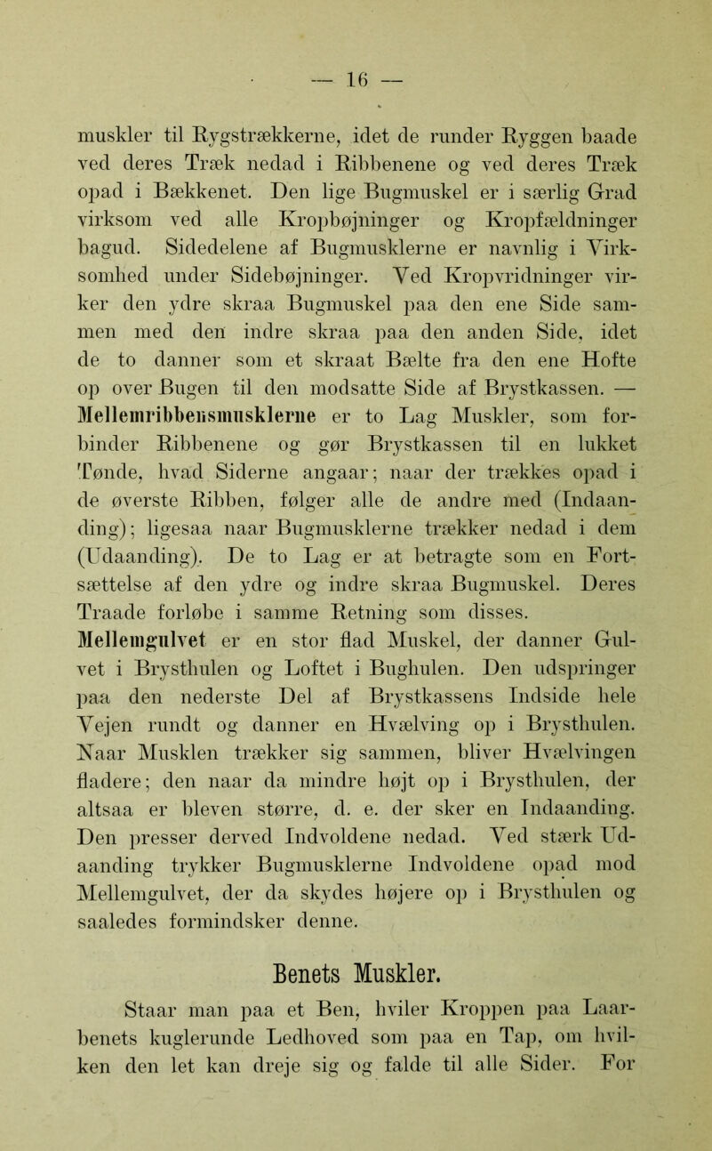 muskler til Rygstrækkerne, idet de runder Ryggen baade ved deres Træk nedad i Ribbenene og ved deres Træk opad i Bækkenet. Den lige Bugmuskel er i særlig Grad virksom ved alle Kropbøjninger og Kropfældninger bagud. Sidedelene af Bugmusklerne er navnlig i Virk- somhed under Sidebøjninger. Ved Krop vridninger vir- ker den ydre skraa Bugmuskel paa den ene Side sam- men med den indre skraa paa den anden Side, idet de to danner som et skraat Bælte fra den ene Hofte op over Bugen til den modsatte Side af Brystkassen. — Mellemribbensmusklerne er to Lag Muskler, som for- binder Ribbenene og gør Brystkassen til en lukket Tønde, hvad Siderne angaar; naar der trækkes opad i de øverste Ribben, følger alle de andre med (Indaan- ding); ligesaa naar Bugmusklerne trækker nedad i dem (Udaanding). De to Lag er at betragte som en Fort- sættelse af den ydre og indre skraa Bugmuskel. Deres Traade forløbe i samme Retning som disses. Mellemgulvet er en stor flad Muskel, der danner Gul- vet i Brysthulen og Loftet i Bughulen. Den udspringer paa den nederste Del af Brystkassens Indside hele Vejen rundt og danner en Hvælving op i Brysthulen. Naar Musklen trækker sig sammen, bliver Hvælvingen fladere; den naar da mindre højt op i Brysthulen, der altsaa er bleven større, d. e. der sker en Indaanding. Den presser derved Indvoldene nedad. Ved stærk Ud- aanding trykker Bugmusklerne Indvoldene opad mod Mellemgulvet, der da skydes højere op i Brysthulen og saaledes formindsker denne. Benets Muskler. Staar man paa et Ben, hviler Kroppen paa Laar- benets kuglerunde Ledhoved som paa en Tap, om hvil- ken den let kan dreje sig og falde til alle Sider. For