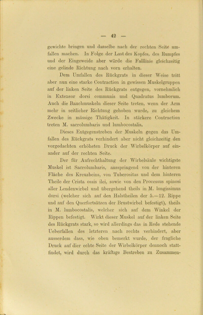 gewichte bringen und dasselbe nach der rechten Seite Um- fallen machen. In Folge der Last des Kopfes, des Kumpfes und der Eingeweide aber würde die Falllinie gleichzeitig eine gelinde Richtung nach vorn erhalten. Dem Umfallen des Rückgrats in dieser Weise tritt aber nun eine starke Contraction in gewissen Muskelgruppen auf der linken Seite des Rückgrats entgegen, vornehmlich in Extensor dorsi communis und Quadratus lumborum. Auch die Bauchmuskeln dieser Seite treten, wenn der Arm mehr in seitlicher Richtung gehoben wurde, zu gleichem Zwecke in massige Thätigkeit. In stärkere Contraction treten M. sacrolumbaris und lumbocostalis. Dieses Entgegenstreben der Muskeln gegen das Um- fallen des Rückgrats verhindert aber nicht gleichzeitig den vorgedachten erhöheten Druck der Wirbelkörper auf ein- ander auf der rechten Seite. Der für Aufrechthaltung der Wirbelsäule wichtigste Muskel ist Sacrolumbaris, ausspringend von der hinteren Fläche des Kreuzbeins, von Tuberositas und dem hinteren Theile der Crista ossis ilei, sowie von den Processus spinosi aller Lendenwirbel und übergehend theils in M. longissimus dorsi (welcher sich auf den Halstheilen der 5.—12. Rippe und auf den Querfortsätzen der Brustwirbel befestigt), theils in M. lumbocostalis, welcher sich auf dem Winkel der Rippen befestigt. Wirkt dieser Muskel auf der linken Seite des Rückgrats stark, so wird allerdings das in Rede stehende Ueberfallen des letzteren nach rechts verhindert, aber ausserdem dass, wie oben bemerkt wurde, der fragliche Druck auf dier echte Seite der Wirbelkörper dennoch statt- findet, wird durch das kräftige Bestreben zu Zusammen-