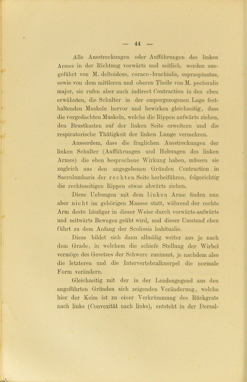 Alle Ausstreckungen oder Aufführungen des linken Armes in der Richtung vorwärts und seitlich, werden aus- geführt von M. deltoideus, coraco-brachialis, supraspinatus, sowie von dem mittleren und oberen Theile von M. pectoralis major, sie rufen aber auch indirect Contraction in den eben erwähnten, die Schulter in der empoi’gezogenen Lage fest- haltenden Muskeln hervor und bewirken gleichzeitig, dass die vorgedachten Muskeln, welche die Rippen aufwärts ziehen, den Brustkasten auf der linken Seite erweitern und die respiratorische Thätigkeit der linken Lunge vermehren. Ausserdem, dass die fraglichen Ausstreckungen der linken Schulter (Aufführungen und Hebungen des linken Armes) die eben besprochene Wirkung haben, müssen sie zugleich aus den angegebenen Gründen Contraction in Sacrolumbaris der rechten Seite lierbeiführen, folgerichtig die rechtsseitigen Rippen etwas abwärts ziehen. Diese Uebungen mit dem linken Arme finden nun aber nicht im gehörigen Maasse statt, während der rechte Arm desto häufiger in dieser Weise durch vorwärts-aufwärts und seitwärts Bewegen geübt wird, und dieser Umstand eben führt zu dem Anfang der Scoliosis habitualis. Diese bildet sich dann allmähg weiter aus je nach dem Grade, in welchem die schiefe Stellung der Wirbel vermöge des Gesetzes der Schwere zunimmt, je nachdem also die letzteren und die Intervertebralknorpel die normale Form verändern. Gleichzeitig mit der in der Lendengegend aus den angeführten Gründen sich zeigenden Veränderung, welche hier der Keim ist zu einer Verkrümmung des Rückgrats nach links (Convexität nach links), entsteht in der Dorsal-