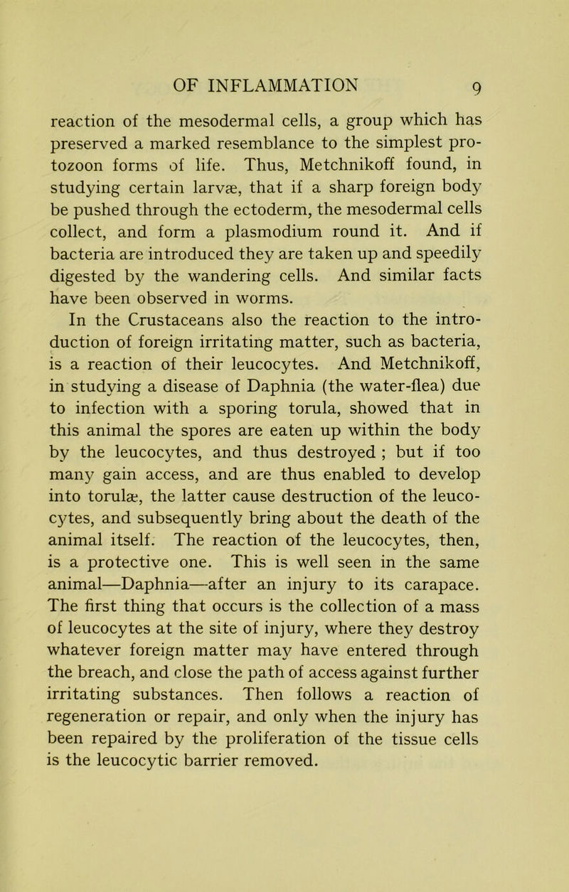 reaction of the mesodermal cells, a group which has preserved a marked resemblance to the simplest pro- tozoon forms of life. Thus, Metchnikoff found, in studying certain larvae, that if a sharp foreign body be pushed through the ectoderm, the mesodermal cells collect, and form a plasmodium round it. And if bacteria are introduced they are taken up and speedily digested by the wandering cells. And similar facts have been observed in worms. In the Crustaceans also the reaction to the intro- duction of foreign irritating matter, such as bacteria, is a reaction of their leucocytes. And Metchnikoff, in studying a disease of Daphnia (the water-flea) due to infection with a sporing torula, showed that in this animal the spores are eaten up within the body by the leucocytes, and thus destroyed ; but if too many gain access, and are thus enabled to develop into torulae, the latter cause destruction of the leuco- cytes, and subsequently bring about the death of the animal itself. The reaction of the leucocytes, then, is a protective one. This is well seen in the same animal—Daphnia—after an injury to its carapace. The first thing that occurs is the collection of a mass of leucocytes at the site of injury, where they destroy whatever foreign matter may have entered through the breach, and close the path of access against further irritating substances. Then follows a reaction of regeneration or repair, and only when the injury has been repaired by the proliferation of the tissue cells is the leucocytic barrier removed.