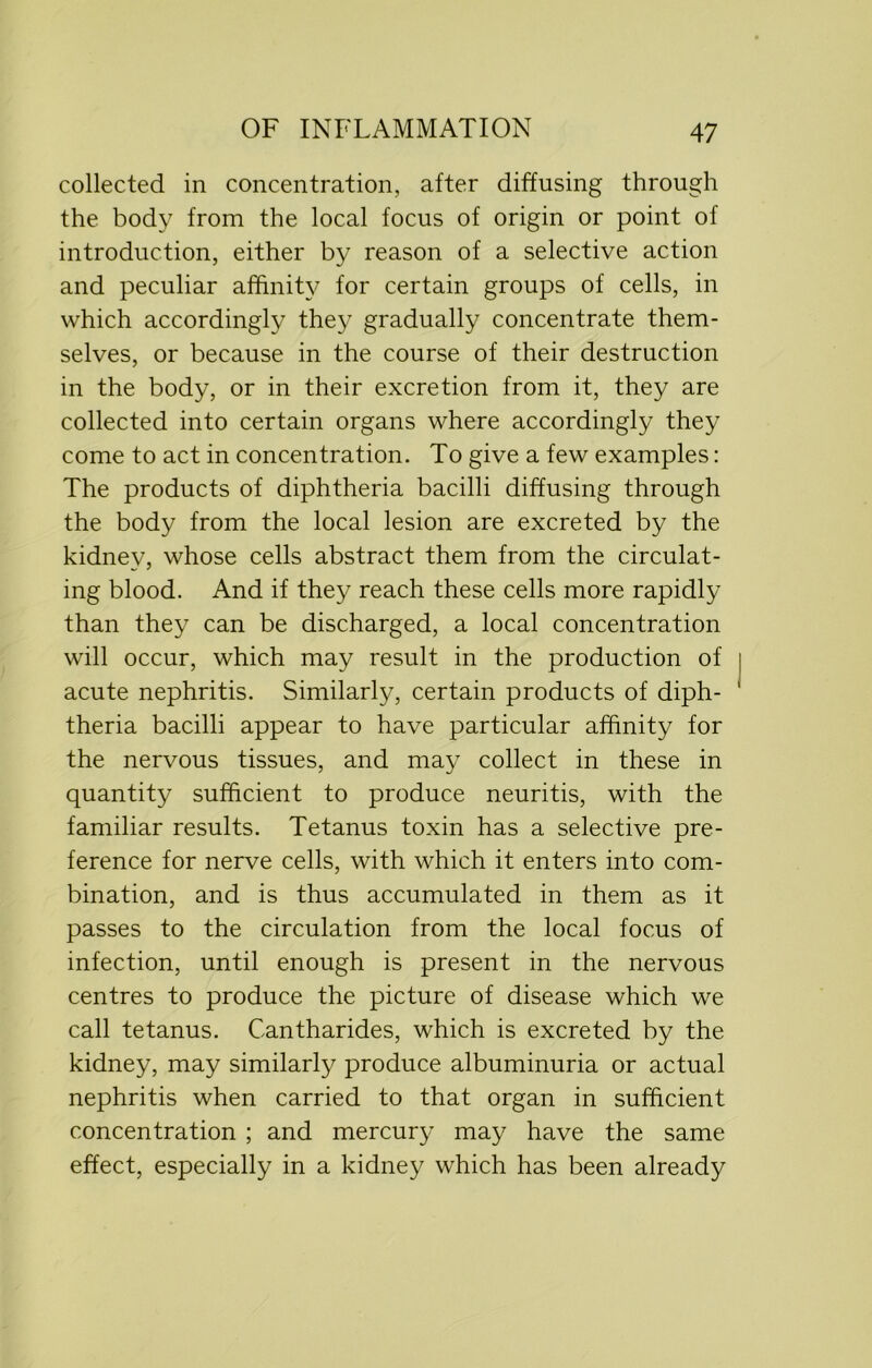 collected in concentration, after diffusing through the body from the local focus of origin or point of introduction, either by reason of a selective action and peculiar affinity for certain groups of cells, in which accordingly they gradually concentrate them- selves, or because in the course of their destruction in the body, or in their excretion from it, they are collected into certain organs where accordingly they come to act in concentration. To give a few examples: The products of diphtheria bacilli diffusing through the body from the local lesion are excreted by the kidney, whose cells abstract them from the circulat- ing blood. And if they reach these cells more rapidly than they can be discharged, a local concentration will occur, which may result in the production of acute nephritis. Similarly, certain products of diph- theria bacilli appear to have particular affinity for the nervous tissues, and may collect in these in quantity sufficient to produce neuritis, with the familiar results. Tetanus toxin has a selective pre- ference for nerve cells, with which it enters into com- bination, and is thus accumulated in them as it passes to the circulation from the local focus of infection, until enough is present in the nervous centres to produce the picture of disease which we call tetanus. Cantharides, which is excreted by the kidney, may similarly produce albuminuria or actual nephritis when carried to that organ in sufficient concentration ; and mercury may have the same effect, especially in a kidney which has been already