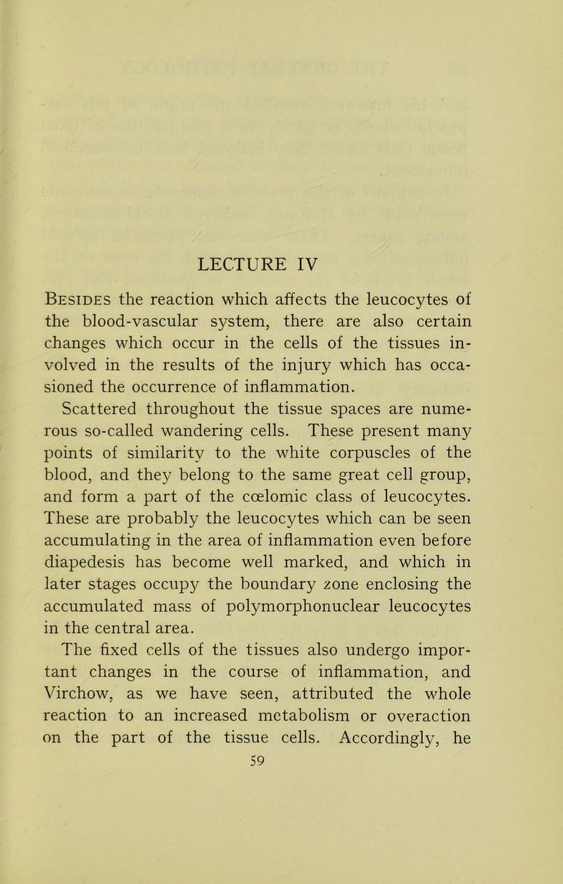 LECTURE IV Besides the reaction which affects the leucocytes of the blood-vascular system, there are also certain changes which occur in the cells of the tissues in- volved in the results of the injury which has occa- sioned the occurrence of inflammation. Scattered throughout the tissue spaces are nume- rous so-called wandering cells. These present many points of similarity to the white corpuscles of the blood, and they belong to the same great cell group, and form a part of the coelomic class of leucocytes. These are probably the leucocytes which can be seen accumulating in the area of inflammation even before diapedesis has become well marked, and which in later stages occupy the boundary zone enclosing the accumulated mass of polymorphonuclear leucocytes in the central area. The fixed cells of the tissues also undergo impor- tant changes in the course of inflammation, and Virchow, as we have seen, attributed the whole reaction to an increased metabolism or overaction on the part of the tissue cells. Accordingly, he