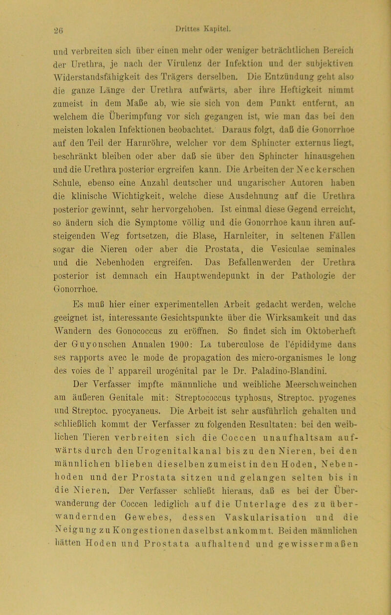 und verbreiten sich Uber einen mehr oder weniger beträchtlichen Bereich der Urethra, je nach der Virulenz der Infektion und der subjektiven Widerstandsfähigkeit des Trägers derselben. Die Entzündung geht also die ganze Länge der Urethra aufwärts, aber ihre Heftigkeit nimmt zumeist in dem Maße ab, wie sie sich von dem Punkt entfernt, an welchem die Überimpfung vor sich gegangen ist, wie man das bei den meisten lokalen Infektionen beobachtet. Daraus folgt, daß die Gonorrhoe auf den Teil der Harnröhre, welcher vor dem Sphincter externus liegt, beschränkt bleiben oder aber daß sie über den Sphincter hinausgehen und die Urethra posterior ergreifen kann. Die Arbeiten der Neckerschen Schule, ebenso eine Anzahl deutscher und ungarischer Autoren haben die klinische Wichtigkeit, welche diese Ausdehnung auf die Urethra posterior gewinnt, sehr hervorgehoben. Ist einmal diese Gegend erreicht, so ändern sich die Symptome völlig und die Gonorrhoe kann ihren auf- steigenden Weg fortsetzeu, die Blase, Harnleiter, in seltenen Fällen sogar die Nieren oder aber die Prostata, die Vesiculae seminales und die Nebenhoden ergreifen. Das Befallenwerdeii der Urethra posterior ist demnach ein Hauptwendepunkt in der Pathologie der Gonorrhoe. Es muß hier einer experimentellen Arbeit gedacht werden, welche geeignet ist, interessante Gesichtspunkte über die Wirksamkeit und das Wandern des Gonococcus zu eröffnen. So findet sich im Oktoberheft der Guyonschen Annalen 1900: La tuberculose de l’epididyme dans ses rapports avec le mode de propagation des micro-organismes le long des voies de F appareil urogenital par le Dr. Paladino-Blandini. Der Verfasser impfte männnliche und weibliche Meerschweinchen am äußeren Genitale mit: Streptococcus typhosus, Streptoc. pyogenes und Streptoc. pyocyaneus. Die Arbeit ist sehr ausführlich gehalten und schließlich kommt der Verfasser zu folgenden Resultaten: bei den weib- lichen Tieren verbreiten sich die Coccen unaufhaltsam auf- wärts durch den Urogenitalkanal bis zu den Nieren, bei den männlichen blieben dieselben zumeist in den Hoden, Neben- hoden und der Prostata sitzen und gelangen selten bis in die Nieren. Der Verfasser schließt hieraus, daß es bei der Über- wanderung der Coccen lediglich auf die Unterlage des zu über- wandernden Gewebes, dessen Vaskularisation und die Neigung zu Kongestionen daselbst aukommt. Beiden männlichen hätten Hoden und Prostata aufhaltend und gewissermaßen