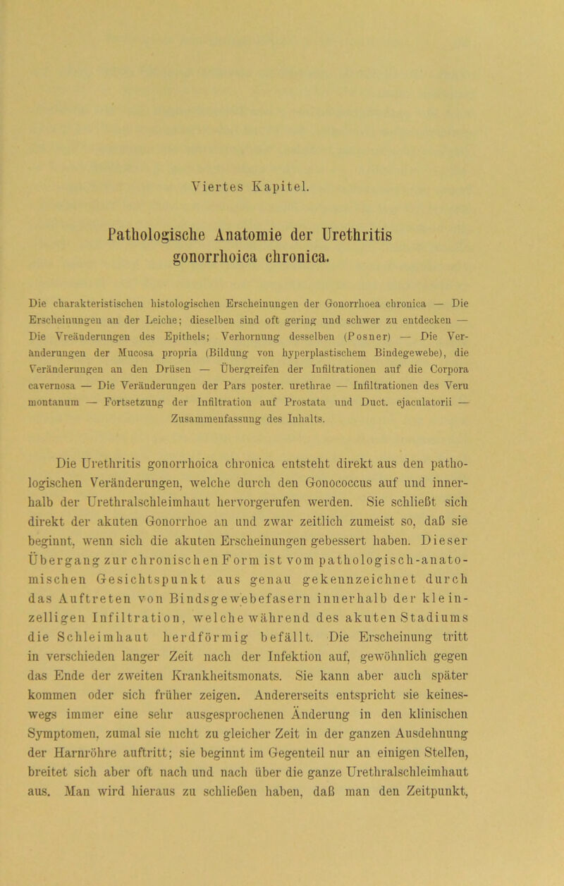 Patliologisclie Anatomie der Urethritis gonorrhoica chronica. Die charakteristischen liistologischen Erscheinungen der Gouorrhoea chronica — Die Erscheinnngeu an der Leiche; dieselben sind oft gering und schwer zu entdecken — Die Vreäudernngen des Epithels; Verhornung desselben (Posner) — Die Ver- änderungen der Mucosa propria (Bildung von hyperplastischem Bindegewebe), die Veränderungen an den Drüsen — Übergreifen der Infiltrationen auf die Corpora cavernosa — Die Veränderungen der Pars poster. urethrae — Infiltrationen des Veru montannra — Fortsetzung der Infiltration auf Prostata und Duct. ejaculatorii — Zusammenfassung des Inhalts. Die Uretliritis gonorrhoica chronica entsteht direkt aus den patho- logischen Veränderungen, tvelche durch den Gonococcus auf und inner- halb der Urethralschleimhaut hervorgerufen werden. Sie schließt sich direkt der akuten Gonorrhoe an und zwar zeitlich zumeist so, daß sie beginnt, wenn sich die akuten Erscheinungen gebessert haben. Dieser Übergang zur chronischen Form ist vom pathologisch-anato- mischen Gesichtspunkt aus genau gekennzeichnet durch das Auftreten von Bindsgewebefasern innerhalb der klein- zelligen Infiltration, welche während des akuten Stadiums die Schleimhaut herdförmig befällt. Die Erscheinung tritt in verschieden langer Zeit nach der Infektion auf, gewöhnlich gegen das Ende der zweiten Krankheitsmonats. Sie kann aber auch später kommen oder sich früher zeigen. Andererseits entspricht sie keines- wegs immer eine sehr ausgesprochenen Änderung in den klinischen Symptomen, zumal sie nicht zu gleicher Zeit in der ganzen Ausdehnung der Harnröhre auftritt; sie beginnt im Gegenteil nur an einigen Stellen, breitet sich aber oft nach und nach über die ganze Urethralschleimhaut aus. Man wird hieraus zu schließen haben, daß man den Zeitpunkt,