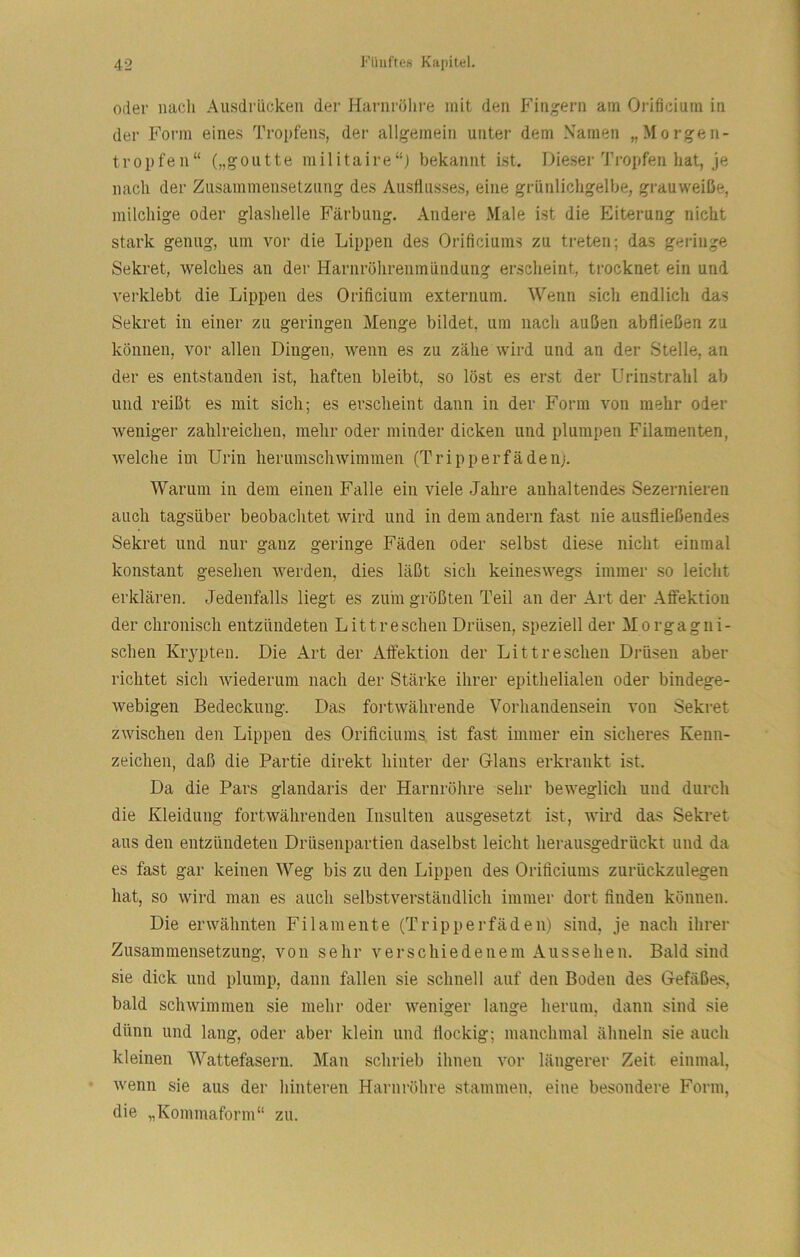 oder nacli Ausdrücken der Harnröhre mit den Fingern am Orificium in der Form eines Tropfens, der allgemein unter dem Xamen „Morgen- tropfen“ („gontte militaire“) bekannt ist. Dieser Tropfen hat, je nach der Zusammensetzung des Austlnsses, eine grünlichgelbe, grauweiße, milchige oder glashelle Färbung. Andere Male ist die Eiterung nicht stark genug, um vor die Lippen des Orificiums zu treten; das geringe Sekret, welches an der Harnröhreumündung erscheint, trocknet ein und verklebt die Lippen des Orificium externum. Wenn sich endlich das Sekret in einer zu geringen Menge bildet, um nach außen abfließen zu können, vor allen Dingen, wenn es zu zähe wird und an der Stelle, an der es entstanden ist, haften bleibt, so löst es erst der Urinstrahl ab und reißt es mit sicli; es erscheint dann in der Form von mehr oder weniger zahlreichen, melir oder minder dicken und plumpen Filamenten, welche im Urin herumschwimmen (Tripperfädenj. Warum in dem einen Falle ein viele Jahre anhaltendes Sezernieren auch tagsüber beobachtet wird und in dem andern fast nie ausfließendes Sekret und nur ganz geringe Fäden oder selbst diese nicht einmal konstant gesehen werden, dies läßt sich keineswegs immer so leicht erklären. Jedenfalls liegt es zuin größten Teil an der Art der Aftektion der chronisch entzündeten Littreschen Drüsen, speziell der Morgagni- schen Kiypteii. Die Art der Affektion der Littreschen Drüsen aber richtet sich wiederum nach der Stärke ihrer epithelialen oder bindege- webigen Bedeckung. Das fortwährende Vorhandensein von Sekret zwischen den Lippen des Orificiums. ist fast immer ein sicheres Kenn- zeichen, daß die Partie direkt hinter der Glans erkrankt ist. Da die Pars glandaris der Harnröhre sehr beweglich und durch die Kleidung fortwährenden Insulten ausgesetzt ist, wird das Sekret aus den entzündeten Drüsenpartien daselbst leicht herausgedrückt und da es fast gar keinen Weg bis zu den Lippen des Orificiums zuriickzulegen hat, so wird man es auch selbstverständlich immer dort finden können. Die erwähnten Filamente (Tripperfäden) sind, je nach ihrer Zusammensetzung, von sehr verschiedenem Aussehen. Bald sind sie dick und plump, dann fallen sie schnell auf den Boden des Gefäßes, bald schwimmen sie mein- oder weniger lange herum, dann sind sie dünn und lang, oder aber klein und flockig; manchmal ähneln sie auch kleinen Wattefasern. Man schrieb ihnen vor längerer Zeit einmal, wenn sie aus der hinteren Harnröhre stammen, eine besondere Form, die „Kommaform“ zu.