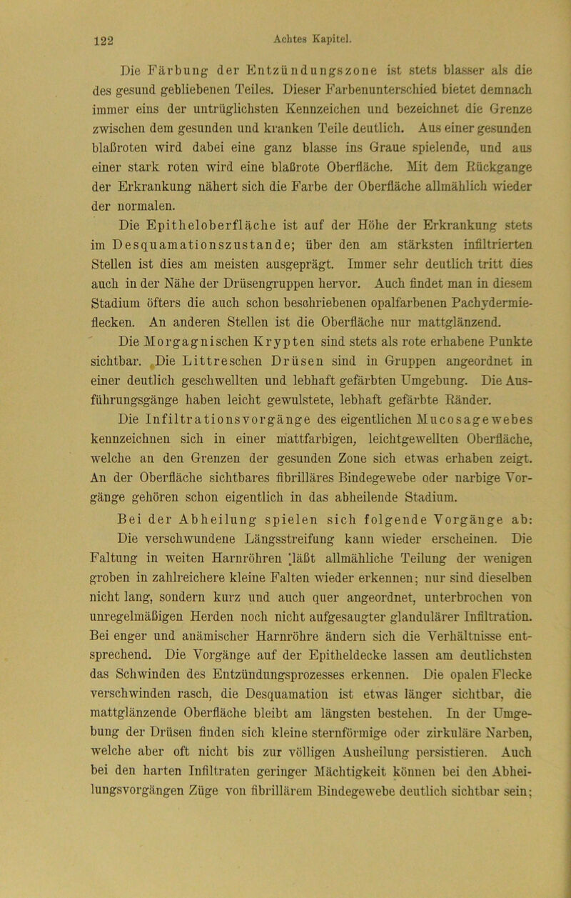 Die Färbung der Entzüiidungszone ist stets blasser als die des gesund gebliebenen Teiles. Dieser Farbenunterscliied bietet demnach immer eins der untrüglichsten Kennzeichen und bezeichnet die Grenze zwischen dem gesunden und kranken Teile deutlich. Aus einer gesunden blaßroten wird dabei eine ganz blasse ins Graue spielende, und aus einer stark roten wird eine blaßrote Oberfläche. Mit dem Rückgänge der Erkrankung nähert sich die Farbe der Oberfläche allmählich wieder der normalen. Die Epitheloberfläche ist auf der Höhe der Erkrankung stets im Desquamationszustande; über den am stärksten infiltrierten Stellen ist dies am meisten ausgeprägt. Immer sehr deutlich tritt dies auch in der Nähe der Drüsengruppen hervor. Auch findet man in diesem Stadium öfters die auch schon beschriebenen opalfarbenen Pachydermie- flecken. An anderen Stellen ist die Oberfläche nur mattglänzend. Die Morgagnischen Krypten sind stets als rote erhabene Punkte sichtbar. Die Littreschen Drüsen sind in Gruppen angeordnet in einer deutlich geschwellten und lebhaft gefärbten Umgebung. Die Aus- führungsgänge haben leicht gewulstete, lebhaft gefärbte Ränder. Die Infiltrationsvorgänge des eigentlichen Mucosagewebes kennzeichnen sich in einer miattfarbigen, leichtgewellten Oberfläche, welche an den Grenzen der gesunden Zone sich etwas erhaben zeigt. An der Oberfläche sichtbares fibrilläres Bindegewebe oder narbige Vor- gänge gehören schon eigentlich in das abheileude Stadium. Bei der Abheilung spielen sich folgende Vorgänge ab: Die verschwundene Längsstreifung kann wieder erscheinen. Die Faltung in weiten Harnröhren 'läßt allmähliche Teilung der wenigen groben in zahlreichere kleine Falten meder erkennen; nur sind dieselben nicht lang, sondern kurz und auch quer angeordnet, nnterbrochen von unregelmäßigen Herden noch nicht aufgesaugter glandulärer Infiltration. Bei enger und anämischer Harnröhre ändern sich die Verhältnisse ent- sprechend. Die Vorgänge auf der Epitheldecke lassen am deutlichsten das Schwinden des Entzündungsprozesses erkennen. Die opalen Flecke verschwinden rasch, die Desquamation ist etwas länger sichtbar, die mattglänzende Oberfiäche bleibt am längsten bestehen. In der Umge- bung der Drüsen finden sich kleine sternförmige oder zirkuläre Narben, welche aber oft nicht bis zur völligen Ausheilung persistieren. Auch bei den harten Infiltraten geringer Mächtigkeit können bei den Abhei- lungsvorgängen Züge von fibrillärem Bindegewebe deutlich sichtbar sein;