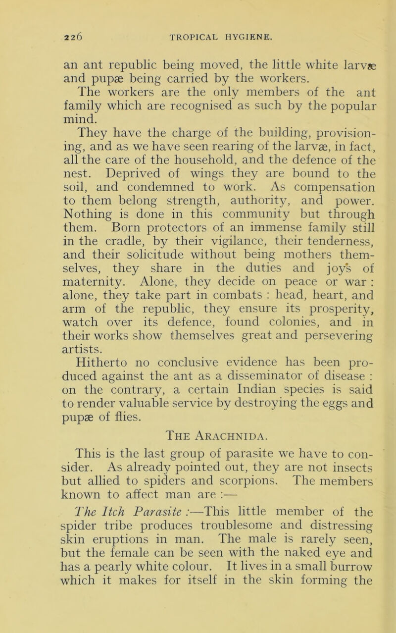 an ant republic being moved, the little white larvae and pupae being carried by the workers. The workers are the only members of the ant family which are recognised as such by the popular mind. They have the charge of the building, provision- ing, and as we have seen rearing of the larvae, in fact, all the care of the household, and the defence of the nest. Deprived of wings they are bound to the soil, and condemned to work. As compensation to them belong strength, authority, and power. Nothing is done in this community but through them. Born protectors of an immense family still in the cradle, by their vigilance, their tenderness, and their solicitude without being mothers them- selves, they share in the duties and joys of maternity. Alone, they decide on peace or war : alone, they take part in combats : head, heart, and arm of the republic, they ensure its prosperity, watch over its defence, found colonies, and in their works show themselves great and persevering artists. Hitherto no conclusive evidence has been pro- duced against the ant as a disseminator of disease : on the contrary, a certain Indian species is said to render valuable service by destroying the eggs and pupae of flies. The Arachnida. This is the last group of parasite we have to con- sider. As already pointed out, they are not insects but allied to spiders and scorpions. The members known to affect man are :— The Itch Parasite :—This little member of the spider tribe produces troublesome and distressing skin eruptions in man. The male is rarely seen, but the female can be seen with the naked eye and has a pearly white colour. It lives in a small burrow which it makes for itself in the skin forming the