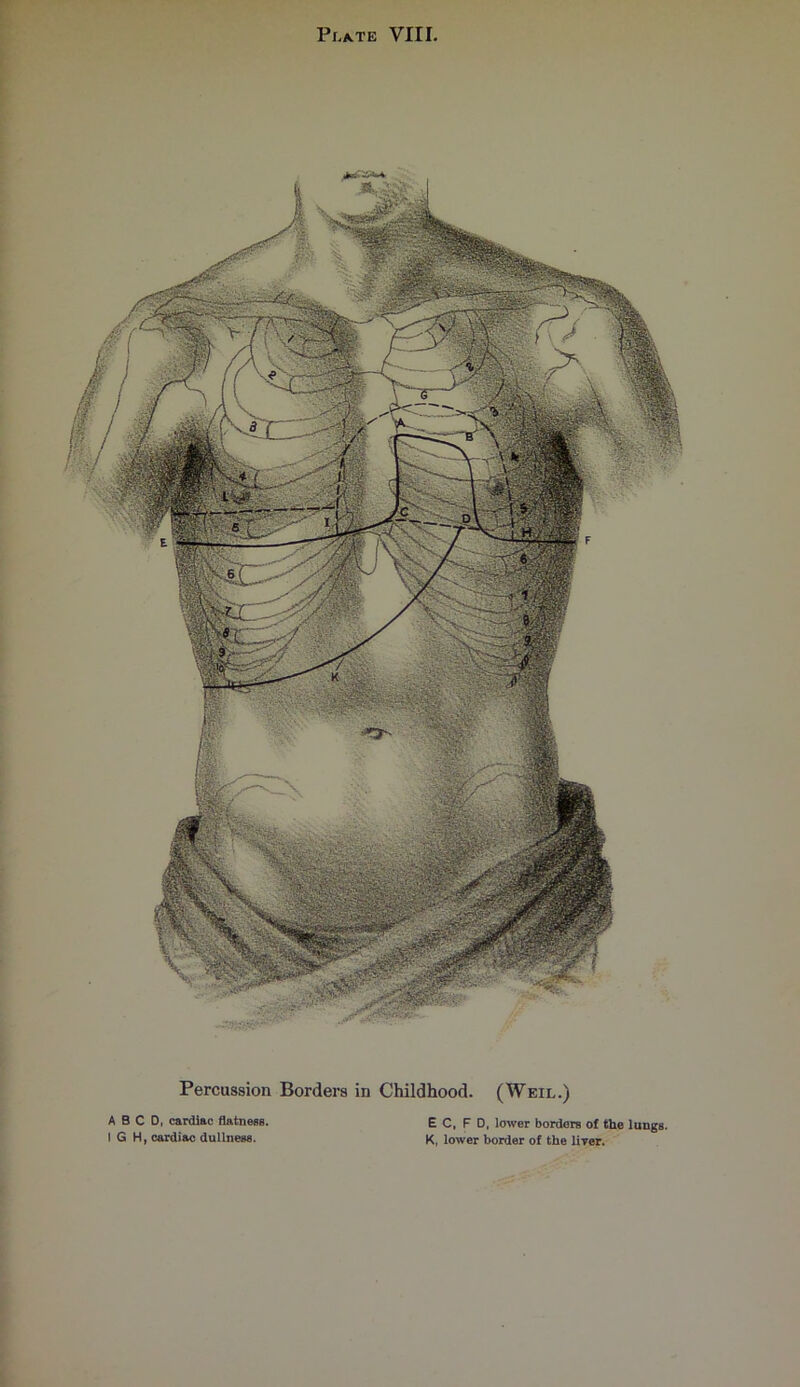 Percussion Borders in Childhood. (Weil.) A B C D, cardiac flatness. I G H, cardiac dullness. EC, F D, lower borders of the lungs K, lower border of the liver.
