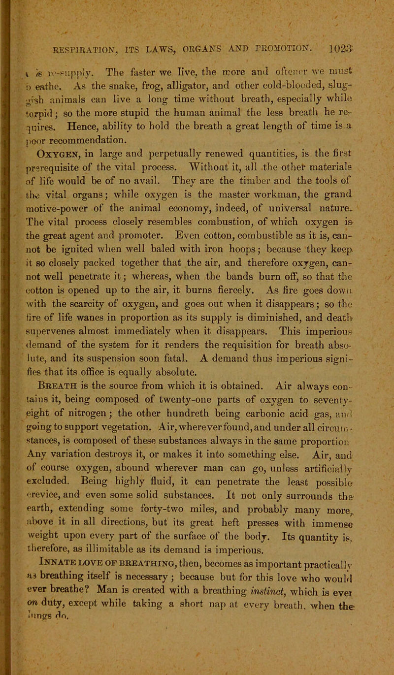 i is lv-H’ipply. The faster we live, the more an<l oftener we must :> eathe. As the snake, frog, alligator, and other cold-blooded, slug- ■irsh animals can live a long time without breath, especially while torpid; so the more stupid the human animal the less breath he re- quires. Hence, ability to hold the breath a great length of time is a poor recommendation. Oxygen, in large and perpetually renewed quantities, is the first prerequisite of the vital process. Without it, all the other materials of life would be of no avail. They are the timber and the tools of tho vital organs; while oxygen is the master workman, the grand motive-power of the animal economy, indeed, of universal nature. The vital process closely resembles combustion, of which oxygen is- the great agent and promoter. Even cotton, combustible as it is, can- not be ignited when well baled with iron hoops; because they keep, it so closely packed together that the air, and therefore oxygen, can- not well penetrate it; whereas, when the bands burn off, so that the cotton is opened up to the air, it burns fiercely. As fire goes down with the scarcity of oxygen, and goes out when it disappears; so the fire of life wanes in proportion as its supply is diminished, and death supervenes almost immediately when it disappears. This imperious demand of the system for it renders the requisition for breath abso- lute, and its suspension soon fatal. A demand thus imperious signi- fies that its office is equally absolute. Breath is the source from which it is obtained. Air always con- tains it, being composed of twenty-one parts of oxygen to seventy- eight of nitrogen ; the other hundreth being carbonic acid gas, and going to support vegetation. Air, wherever found, and under all circum- stances, is composed of these substances always in the same proportion Any variation destroys it, or makes it into something else. Air, and of course oxygen, abound wherever man can go, unless artificially excluded. Being highly fluid, it can penetrate the least possible crevice, and even some solid substances. It not only surrounds the earth, extending some forty-two miles, and probably many more, above it in all directions, but its great heft presses with immense weight upon every part of the surface of the body. Its quantity is, therefore, as illimitable as its demand is imperious. Innate love of breathing, then, becomes as important practically breathing itself is necessary ; because but for this love who would ever breathe? Man is created with a breathing instinct, which is evei on duty, except while taking a short nap at every breath, when the lungs do.