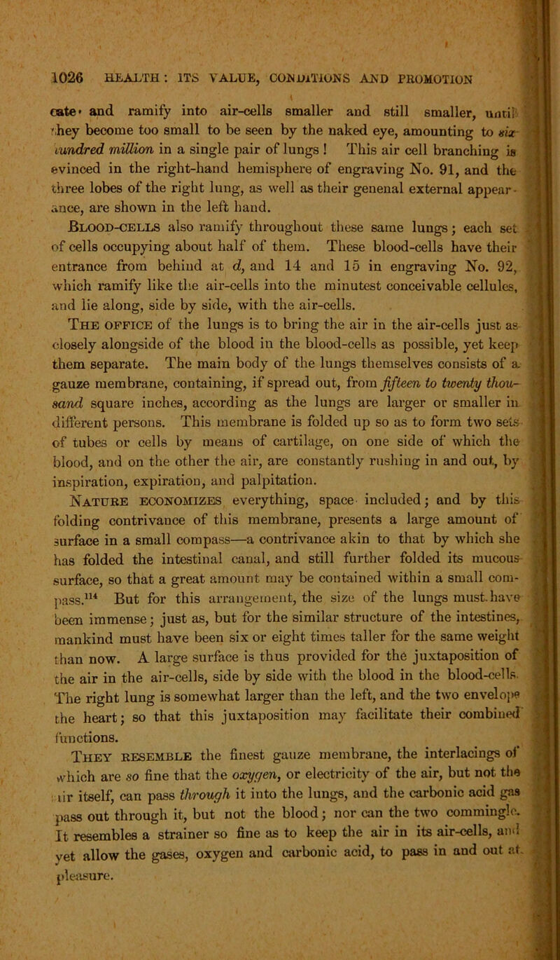 \ oate> and ramify into air-cells smaller and still smaller, until 'hey become too small to be seen by the naked eye, amounting to six hundred miUion in a single pair of lungs ! This air cell branching is evinced in the right-hand hemisphere of engraving No. 91, and the three lobes of the right lung, as well as their genenal external appear once, are shown in the left hand. Blood-cells also ramify throughout these same lungs; each set of cells occupying about half of them. These blood-cells have their entrance from behind at d, and 14 and 15 in engraving No. 92, which ramify like the air-cells into the minutest conceivable cellules, and lie along, side by side, with the air-cells. The office of the lungs is to bring the air in the air-cells just as closely alongside of the blood in the blood-cells as possible, yet keep them separate. The main body of the lungs themselves consists of a gauze membrane, containing, if spread out, from fifteen to twenty thou- sand square inches, according as the lungs are larger or smaller in different persons. This membrane is folded up so as to form two sets of tubes or cells by means of cartilage, on one side of which the blood, and on the other the air, are constantly rushing in and out, by inspiration, expiration, and palpitation. Nature economizes everything, space included; and by this folding contrivance of this membrane, presents a large amount of surface in a small compass—a contrivance akin to that by which she has folded the intestinal canal, and still further folded its mucous surface, so that a great amount may be contained within a small com- pass.114 But for this arrangement, the size of the lungs must.have been immense; just as, but for the similar structure of the intestines, mankind must have been six or eight times taller for the same weight than now. A large surface is thus provided for the juxtaposition of the air in the air-cells, side by side with the blood in the blood-cells. The right lung is somewhat larger than the left, and the two envelope the heart; so that this juxtaposition may facilitate their combined functions. They resemble the finest gauze membrane, the interlacings of which are so fine that the oxygen, or electricity of the air, but not the lir itself, can pass through it into the lungs, and the carbonic acid gas pass out through it, but not the blood; nor can the two commingle. It resembles a strainer so fine as to keep the air in its air-cells, and vet allow the gases, oxygen and carbonic acid, to pass in and out at pleasure.
