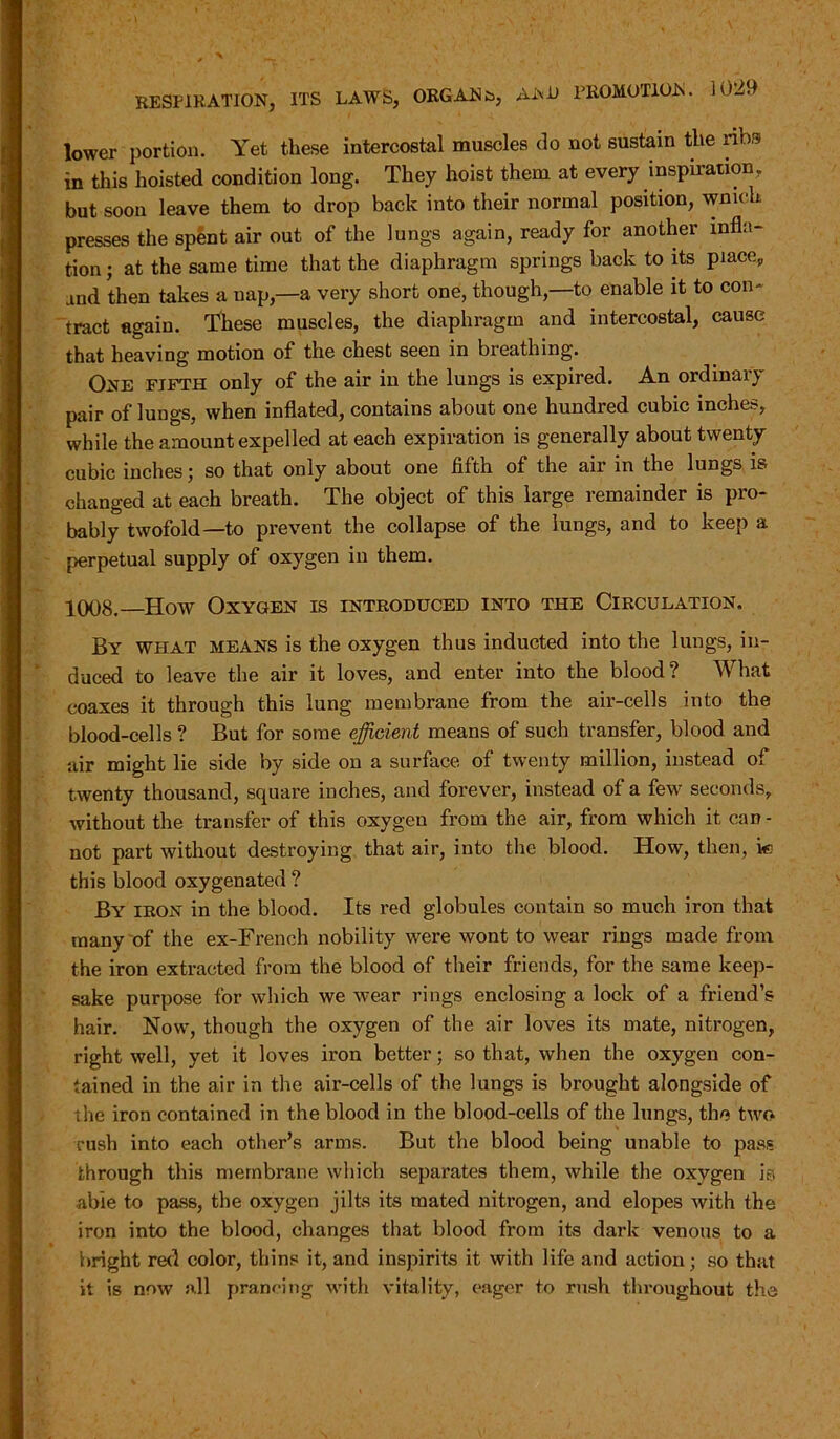 lower portion. Yet these intercostal muscles do not sustain the nbs in this hoisted condition long. They hoist them at every inspiration, but soon leave them to drop back into their normal position, wmck presses the spent air out of the lungs again, ready for another infla- tion ; at the same time that the diaphragm springs back to its piaceP and then takes a uap,—a very short one, though,—to enable it to con- tract again. These muscles, the diaphragm and intercostal, cause that heaving motion of the chest seen in breathing. One fifth only of the air in the lungs is expired. An ordinary pair of lungs, when inflated, contains about one hundred cubic inches, while the amount expelled at each expiration is generally about twenty cubic inches; so that only about one fifth of the air in the lungs is changed at each breath. The object of this large remainder is pro- bably twofold—to prevent the collapse of the lungs, and to keep a perpetual supply of oxygen in them. 1008. How Oxygen is introduced into the Circulation. By what means is the oxygen thus inducted into the lungs, in- duced to leave the air it loves, and enter into the blood? What coaxes it through this lung membrane from the air-cells into the blood-cells ? But for some efficient means of such transfer, blood and air might lie side by side on a surface of twenty million, instead of twenty thousand, square inches, and forever, instead of a few seconds, without the transfer of this oxygen from the air, from which it can- not part without destroying that air, into the blood. How, then, k this blood oxygenated ? By iron in the blood. Its red globules contain so much iron that many of the ex-French nobility were wont to wear rings made from the iron extracted from the blood of their friends, for the same keep- sake purpose for which we wear rings enclosing a lock of a friend’s hair. Now, though the oxygen of the air loves its mate, nitrogen, right well, yet it loves iron better; so that, when the oxygen con- tained in the air in the air-cells of the lungs is brought alongside of the iron contained in the blood in the blood-cells of the lungs, the two rush into each other’s arms. But the blood being unable to pass through this membrane which separates them, while the oxygen is able to pass, the oxygen jilts its mated nitrogen, and elopes with the iron into the blood, changes that blood from its dark venous to a bright red color, thins it, and inspirits it with life and action; so that it is now all prancing with vitality, eager to rush throughout the