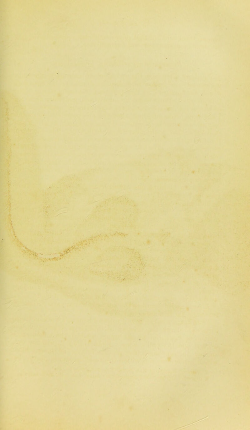 /' k. I'ti r^'?: (• 'i.^; V I • »■ «■■ ,.j4» 'V^V ■4#''*- ■ i’» ■ K'-f'--. V A ‘ ■ ?- .i-wv-A ■■ ■J^ ■ ■: * ’iPV ‘^H .. ■ vo«^“ •ur „ '»• ' V.j -i '•h ■il ■J v^*'’<V- ;■' ■;■' /i -‘tir \i . ✓ •