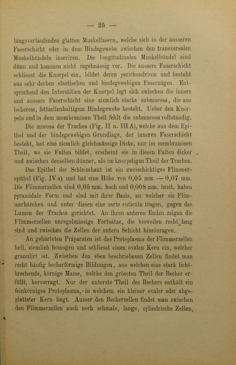 längs verlaufenden glatten Muskelfasern, welche sich in der äusseren Faserschicht oder in dem Bindegewebe zwischen den transversalen Muskelbündeln inseriren. Die longitudinalen Muskelbündel sind dünn und kommen nicht regelmässig vor. Die äussere Faserschicht schliesst die Knorpel ein, bildet deren perichondrium und besteht aus sehr derben elastischen und bindegewebigen Faserzügen. Ent- sprechend den Interstitien der Knorpel legt sich zwischen die innere und äussere Faserschicht eine ziemlich starke submucosa, die aus lockerem, fettzellenhaltigem Bindegewebe besteht, lieber den Knor- peln und in dem membranösen Theil fehlt die submucosa vollständig. Die mucosa der Trachea (Fig. II u. IIIA), welche aus dem Epi- thel und der bindegewebigen Grundlage, der inneren Faserschicht besteht, hat eine ziemlich gleichmässige Dicke, nur im membranösen Theil, wo sie Falten bildet, erscheint sie in diesen Falten dicker . und zwischen denselben dünner, als im knorpeligen Theil der Trachea. Das Epithel der Schleimhaut ist ein zweischichtiges Flimmer- epithel (Fig. IV a) und hat eine Höhe von 0,05 mm. — 0,07 mm. Die Flimmerzellen sind 0,05 mm. hoch und 0,008 mm. breit, haben pyramidale Form und sind mit ihrer Basis, an welcher sie Flim- merhärchen und unter diesen eine zarte cnticiila tragen, gegen das Lumen der Trachea gerichtet. An ihren unteren Enden zeigen die Flimmerzellen unregelmässige Fortsätze, die bisweilen rechf lang sind und zwischen die Zellen der untern Schicht hineinragen. An gehärteten Präparaten ist das Protoplasma der Flimmerzellen hell, ziemlich homogen und schliesst einen ovalen Kern ein, welcher granulirt ist. Zwischen den eben beschriebenen Zellen findet man ^ recht häufig becherförmige Bildungen, aus welchen eine stark licht- brechende, körnige Masse, welche den grössten Theil der Becher er- füllt, hervorragt. Nur der unterste Theil des Bechers enthält ein feinkörniges Protoplasma,' in welchem ein kleiner ovaler oder abge- platteter Kern liegt. .Ausser den Becherzellen findet man zwischen den Flimmerzellen auch noch schmale, lange, cylindrische Zellen,