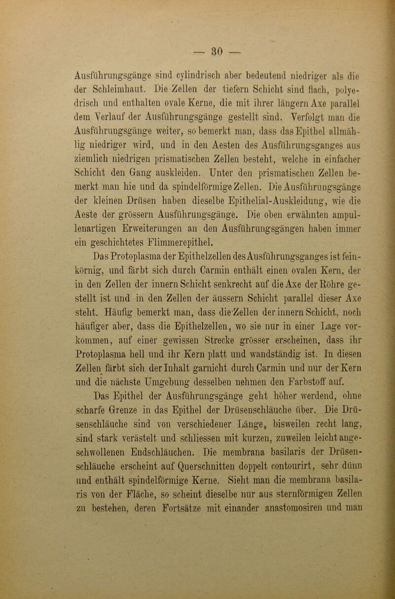 Ausführimgsg’äng’e sind cylindrisch aber bedeutend niedriger als die der Schleimhaut. Die Zellen der tiefem Schicht sind flach, polye> drisch und enthalten ovale Kerne, die mit ihrer langem Axe parallel dem Verlauf der Ausführungsgänge gestellt sind. Verfolgt man die Ausführungsgänge weiter, so bemerkt man, dass das Epithel allmäh- lig niedriger mvä, und in den Aesten des Ausführungsganges aus ziemlich niedrigen prismatischen Zellen besteht, welche in einfacher Schicht den Gang auskleiden. Unter den prismatischen Zellen be- merkt man hie und da spindelförmige Zellen. Die Ausführungsgänge der kleinen Drüsen haben dieselbe Epithelial-Auskleidung, wie die Aeste der grossem Ausführuugsgänge. Die oben erwähnten ampul- lenartigen Erweiterungen an den Ausführungsgängen haben immer ein geschichtetes Flimmerepithel. Das Protoplasma der Epithelzellen des Ausführungsganges ist fein- körnig, und färbt sich durch Carmin enthält einen ovalen Kern, der in den Zellen der innern Schicht senkrecht auf die Axe der Röhre ge- stellt ist und in den Zellen der äussern Schicht parallel dieser Axe steht. Häufig bemerkt man, dass die'Zellen der innern Schicht, noch häufiger aber, dass die Epithelzellen, wo sie nur in einer Lage Vor- kommen, auf einer gewissen Strecke grösser erscheinen, dass ihr Protoplasma hell und ihr Kern platt und wandständig ist. In diesen Zellen färbt sich der Inhalt garnicht durch Carmin und nur der Kern und die nächste Umgebung desselben nehmen den Farbstoff auf. Das Epithel der Ausführungsgänge geht höher werdend, ohne scharfe Grenze in das Epithel der Drüsenschläuche über. Die Drü- senschläuche sind von verschiedener Länge^ bisweilen recht lang, sind stark verästelt und schliessen mit kurzen, zuweilen leicht ange- schwollenen Endschläuchen. Die membrana basilaris der Drüsen- schläuche erscheint auf Querschnitten doppelt contourirt, sehr dünn und enthält spindelförmige Kerne. Sieht mau die membrana basila- ris von der Fläche, so scheint dieselbe nur aus sternförmigen Zellen zu bestehen, deren Fortsätze mit einander anastomosiren und man