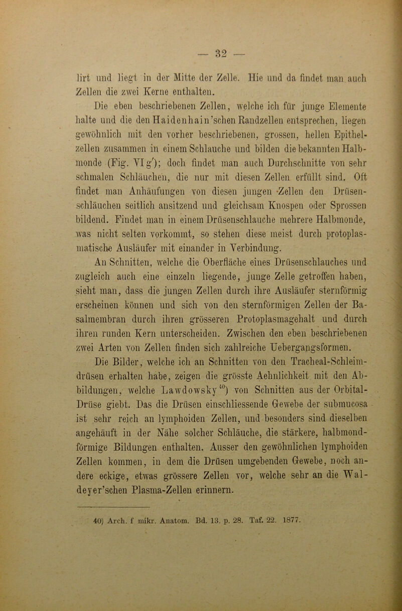 lirt mid liegt in der Mitte der Zelle. Hie und da findet man auch Zellen die zwei Kerne enthalten. Die eben beschriebenen Zellen, welche ich für junge Elemente halte und die den Haidonhain’schen Randzellen entsprechen, liegen gewöhnlich mit den vorher beschriebenen, grossen, hellen Epithel- zellen zusammen in einem Schlauche und bilden die bekannten Halb- monde (Fig. Ylg'); doch findet man auch Durchschnitte von sehr schmalen Schläuchen, die nur mit diesen Zellen erfüllt sind. Oft findet man Anhäufungen von diesen jungen -Zellen den Drüsen- schläuchen seitlich ansitzend und gleichsam Knospen oder Sprossen bildend. Findet man in einem Drüsenschlauche mehrere Halbmonde, was nicht selten vorkommt, so stehen diese meist durch protoplas- matische Ausläufer mit einander in Verbindung. An Schnitten, welche die Oberfläche eines Drüsenschlauches und zugleich auch eine einzeln liegende, junge Zelle getroffen haben, sieht man, dass die jungen Zellen durch ihre Ausläufer sternförmig erscheinen können und sich von den sternförmigen Zellen der Ba- salmembran durch ihren grösseren Protoplasmagehalt und durch ihren runden Kern unterscheiden. Zwischen den eben beschriebenen zwei Arten von Zellen finden sich zahlreiche Uebergangsformen. Die Bilder, welche ich an Schnitten von den Tracheal-Schleim- drüsen erhalten habe, zeigen die grösste Aehnlichkeit mit den Ab- bildungen, welche Lawdowskyvon Schnitten aus der Orbital- Drüse giebt. Das die Drüsen einschliessende Gewebe der submucosa - ist sehr reich an lymphoiden Zellen, und besonders sind dieselben angehäuft in der Nähe solcher Schläuche, die stärkere, halbmond- förmige Bildungen enthalten. Ausser den gewöhnlichen lymphoiden Zellen kommen, in dem die Drüsen umgebenden Gewebe, noch an- dere eckige, etwas grössere Zellen vor, welche sehr an die Wal- deyer’schen Plasma-Zellen erinnern. 40) Arch. f mikr. Anatom. Bd. 13. p. 28. Taf. 22. 1877.