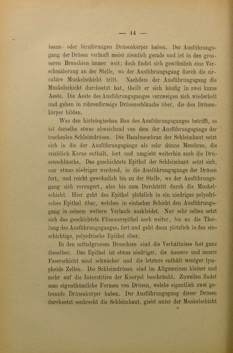 bäum- oder biriiförmig-en Drüsenkörper haben. Der Ausführimg’s- gang der Drüsen verläuft meist ziemlich gerade und ist in den grös- seren Bronchien immer weit; doch findet sich gewöhnlich eine Ver- schmälerung an der Stelle, wo der Ausführungsgang durch die cir- culäre Muskelschicht tritt. Nachdem der Ausführungsgang die Muskelschicht durchsetzt hat, theilt er sich häufig in zwei kurze Aeste. Die Aeste des Ausführungsganges verzweigen sich wiederholt und gehen in röhrenförmige Drüsenschläuche über, die den Drüsen- körper bilden. Was den histologischen Bau des Ausführungsganges betrifft, so ist derselbe etwas abweichend von dem der Ausführungsgänge der trachealen Schleimdrüsen. Die Basalmembran der Schleimhaut setzt sich in die der Ausführungsgänge als sehr dünne Membran, die reichlich Kerne enthält, fort und umgiebt weiterhin auch die Drü- sonschläuche. Das geschichtete Epithel der Schleimhaut setzt sich, nur etwas niedriger werdend, in die Ausführungsgänge der Drüsen fort, und reicht gewöhnlich bis zu der Stelle, wo der Ausführungs- gang sich verengert, also bis zum Durchtritt durch die Muskel- schicht. Hier geht das Epithel plötzlich in ein niedriges polyedri- sches Epithel über, welches in einfacher Schicht den Ausführungs.- gang in seinem weitern Verlaufe auskleidet. Nur sehr selten setzt sich das geschichtete Flimmerepithel noch weiter, bis an die Thei- lungdes Ausführungsganges, fort und geht dann plötzlich in das ein- schichtige, polyedrische Epithel über. In den mittelgrossen Bronchien sind die Verhältnisse fast ganz dieselben. Das Epithel ist etwas niedriger, die äussere und innere Faserschicht 'sind schwächer und die letztere enthält weniger lym- phoide Zellen. Die Schleimdrüsen sind im Allgemeinen kleiner und mehr auf die Interstitien der Knorpel beschränkt. Zuweilen findet man eigenthümliche Formen von Drüsen, welche eigentlich zwei ge- trennte Drüsenkörper haben. Der Ausführungsgang dieser Drüsen durchsetzt senkrecht die Schleimhaut, giebt unter der Muskelschicht
