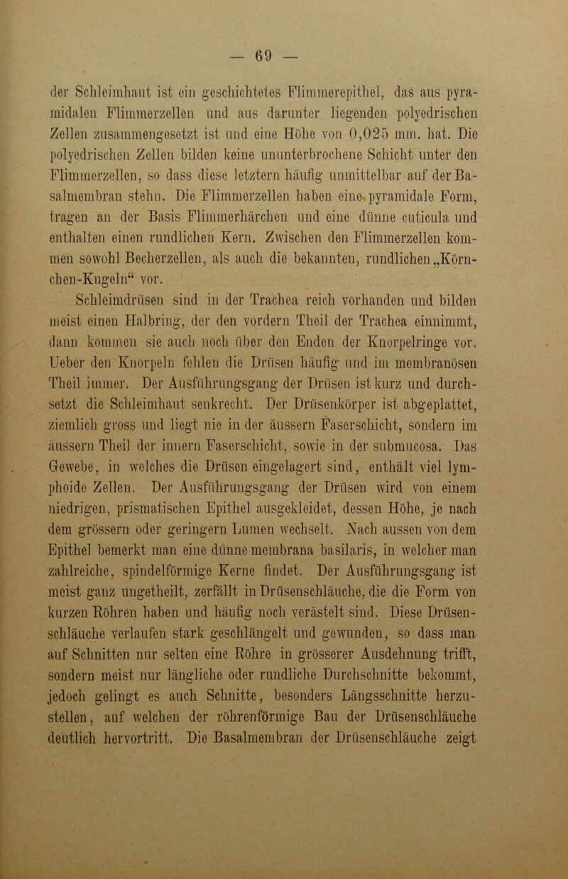 der Schleimhaut ist ein geschichtetes Fliminerepithel, das aus pyra- midalen Flimmerzellen und aus darunter liegenden polyedrischeii Zellen zusammengesetzt ist und eine Höhe von 0,025 mm. hat. Die polyedrischeii Zellen bilden keine ununterbrochene Schicht unter den Flimmerzellen, so dass diese letztem häufig unmittelbar auf der Ba- salmembran stehn. Die Flimmerzellen haben eine»pyramidale Form, tragen an der Basis Flimmerhärchen und eine dünne cuticula und enthalten einen rundlichen Kern. Zwischen den Flimmerzellen kom- men sowohl Becherzellen, als auch die bekannten, rundlichen „Körn- chen-Kugeln“ vor. Schleimdrüsen sind in der Trachea reich vorhanden und bilden meist einen Halbring, der den vordem Theil der Trachea einnimmt, dann kommen sie auch noch über den Enden der Knorpelringe vor. lieber den Knorpeln fehlen die Drüsen häufig und im membranösen Theil immer. Der Ausführungsgang der Drüsen ist kurz und durch- setzt die Schleimhaut senkrecht. Der Drüsenkörper ist abgeplattet, ziemlich gross und liegt nie in der äussern Faserschicht, sondern im äussern Theil der innern Faserschicht, sowie in der submucosa. Das Gewebe, in welches die Drüsen eingelagert sind, enthält viel lyni- phoide Zellen. Der Ausführungsgang der Drüsen wird von einem niedrigen, prismatischen Epithel ausgekleidet, dessen Höhe, je nach dem grössern oder geringem Lumen wechselt. Nach aussen von dem Epithel bemerkt man eine dünne membrana basilaris, in welcher man zahlreiche, spindelförmige Kerne findet. Der Ausführungsgang ist meist ganz ungetheilt, zerfällt in Drüsenschläuche, die die Form von kurzen Böhren haben und häufig noch verästelt sind. Diese Drüsen- schläuche verlaufen stark geschlängelt und gewunden, so dass man auf Schnitten nur selten eine Röhre in grösserer Ausdehnung trifft, sondern meist nur längliche oder rundliche Durchschnitte bekommt, jedoch gelingt es auch Schnitte, besonders Längsschnitte herzu- stellen, auf welchen der röhrenförmige Bau der Drüsenschläuche deutlich hervortritt. Die Basalmembran der Drüsenschläuche zeigt