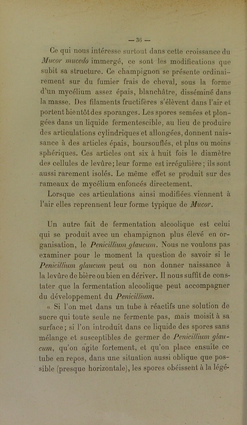 Ce qui nous intéresse surtout dans cette croissance du Mucor mucedo immergé, ce sont les modifications que subit sa structure. Ce champignon se présente ordinai- rement sur du fumier frais de cheval, sous la forme d’un mycélium assez épais, blanchâtre, disséminé dans la masse. Des filaments fructifères s’élèvent dans l’air et portent bientôt des sporanges. Les spores semées et plon- gées dans un liquide fermentescible, au lieu de produire des articulations cylindriques et allongées, donnent nais- sance à des articles épais, boursouflés, et plus ou moins sphériques. Ces articles ont six à huit fois le diamètre des cellules de levûre; leur forme est irrégulière ; ils sont aussi rarement isolés. Le même effet se produit sur des rameaux de mycélium enfoncés directement. Lorsque ces articulations ainsi modifiées viennent à l’air elles reprennent leur forme typique de Mucor. Un autre fait de fermentation alcoolique est celui qui se produit avec un champignon plus élevé en or- ganisation, le Penicillium^glaucum. Nous ne voulons pas examiner pour le moment la question de savoir si le Pénicillium glaucum peut ou non donner naissance à la levûre de bière ou bien en dériver. Il nous suffit de cons- tater que la fermentation alcoolique peut accompagner du développement du Pénicillium. « Si l’on met dans un tube à réactifs une solution de sucre qui toute seule ne fermente pas, niais moisit à sa surface; si l’on introduit dans ce liquide des spores sans mélange et susceptibles de germer de Pénicillium glau- cum., qu’on agite fortement, et qu’on place ensuite ce tube en repos, dans une situation aussi oblique que pos- sible (presque horizontale), les spores obéissent à la légé-