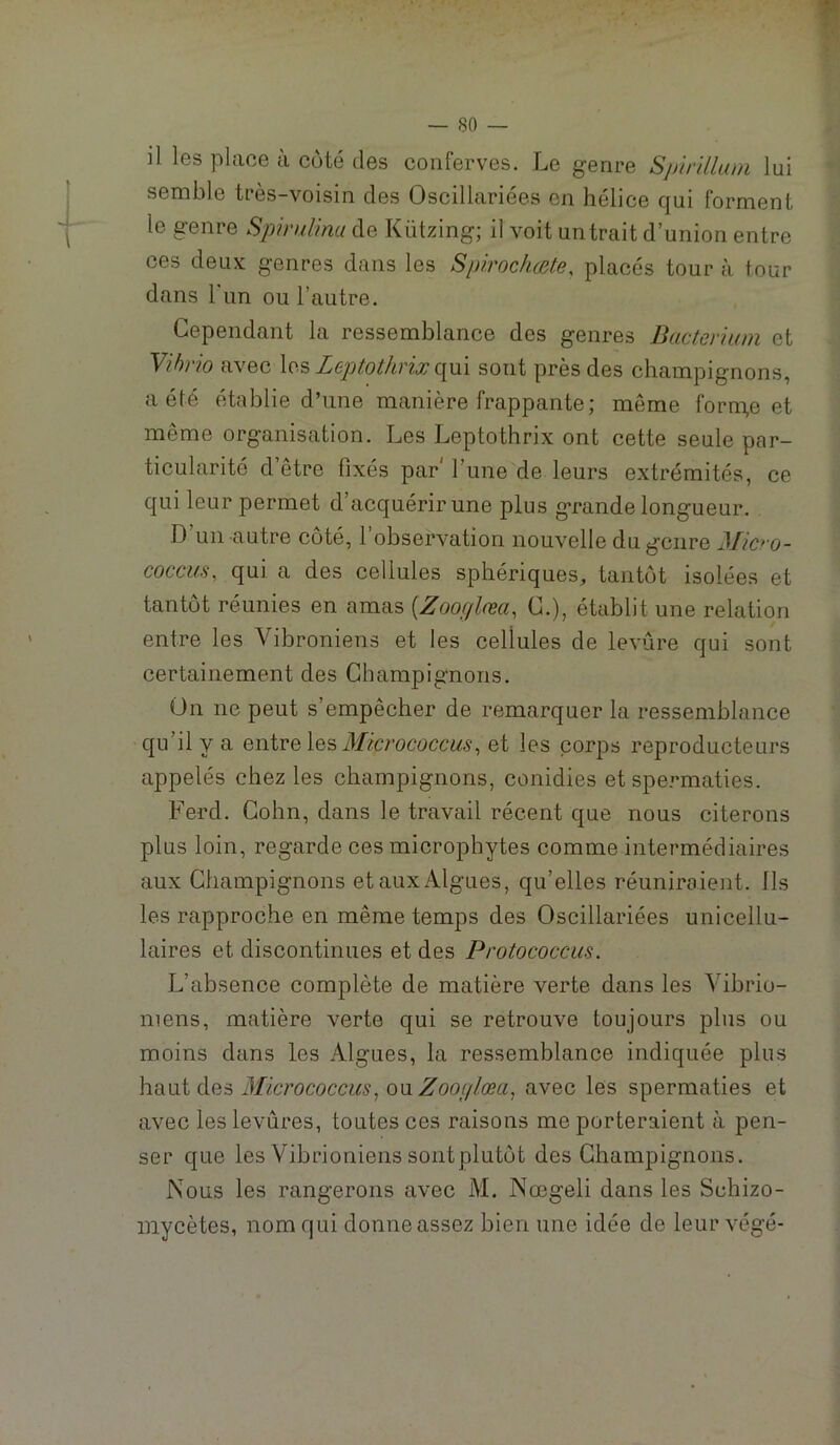 il les place à côté des conferves. Le genre Spir'dlum lui semble très-voisin des Oscillariées en hélice qui forment le genre SpiniUnu de Kützing; il voit un trait d’union entre ces deux genres dans les Spirochcete, placés tour à tour dans 1 un ou l’autre. Cependant la ressemblance des genres Bacterhun et yihrio avec Leptothvix (\\i\ sont près des champignons, a été établie d’une manière frappante; même form,e et même organisation. Les Leptothrix ont cette seule par- ticularité d’être fixés par' l’une de leurs extrémités, ce qui leur permet d’acquérir une plus grande longueur. D’un autre côté, l’observation nouvelle du genre Micro- coccus, qui a des cellules sphériques, tantôt isolées et tantôt réunies en amas [Zoofflfea^ C.), établit une relation entre les Vibroniens et les cellules de levure qui sont certainement des Champignons. On ne peut s’empêcher de remarquer la ressemblance qu’il y a entre les et les corps reproducteurs appelés chez les champignons, conidies et spermaties. Ferd. Colin, dans le travail récent que nous citerons plus loin, regarde ces microphytes comme intermédiaires aux Champignons et aux Algues, qu’elles réuniraient. Ils les rapproche en même temps des Oscillariées unicellu- laires et discontinues et des Protococcus. L’absence complète de matière verte dans les Vibrio- niens, matière verte qui se retrouve toujours plus ou moins dans les Algues, la ressemblance indiquée plus haut des Micrococcus^ oMZooiflœa^ avec les spermaties et avec les levûres, toutes ces raisons me porteraient à pen- ser que les Vibrioniens sontplutôt des Champignons. Nous les rangerons avec M. Nœgeli dans les Schizo- mycètes, nom qui donne assez bien une idée de leur végé-