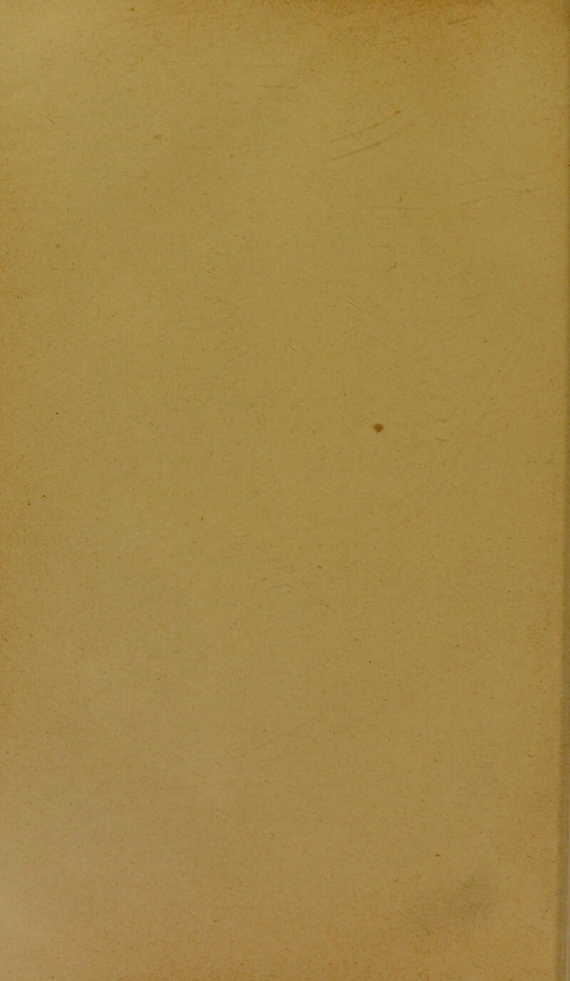 ’ï 1 1 Â I ■ -}. ■ ’.J' ' ->r- - S J' ■ .î^-' .•.■*. s*'. ••• ■ ■• ■■' '.i . *