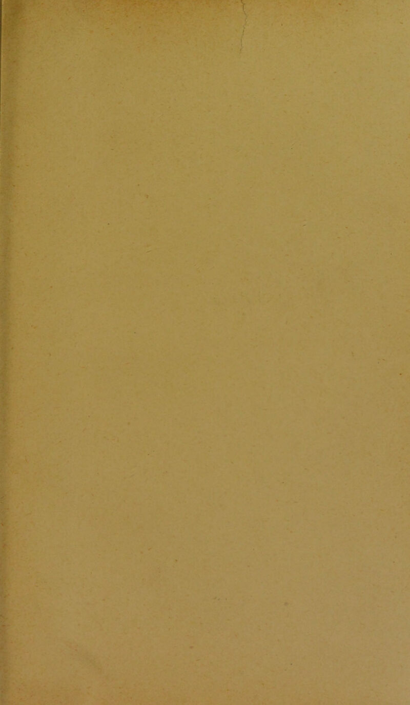 /■ ■>> ■ \w-' . -P- ■K.. ■l* /■ V *r’ ^