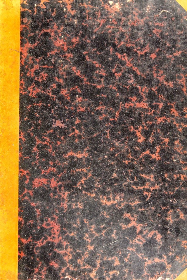 digitised image 1