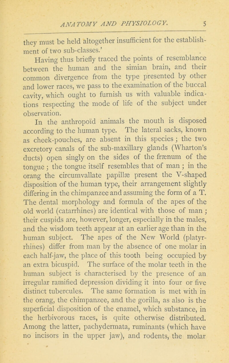 they must be held altogether insufficient for the establish- ment of two sub-classes.’ Having thus briefly traced the points of resemblance between the human and the simian brum, and their common divergence from the type presented by othei and lower races, we pass to the examination of the buccal cavity, which ought to furnish us with valuable indica- tions respecting the mode of life of the subject under observation. In the anthropoid animals the mouth is disposed according to the human type. The lateral sacks, known as cheek-pouches, are absent in this species; the two excretory canals of the sub-maxillary glands (Wharton’s ducts) open singly on the sides of the frsenum of the tongue ; the tongue itself resembles that of man ; in the orang the circumvallate papillae present the V-shaped disposition of the human type, their arrangement slightly differing in the chimpanzee and assuming the form of a T. The dental morphology and formula of the apes of the old world (catarrhines) are identical with those of man ; their cuspids are, however, longer, especially in the males, and the wisdom teeth appear at an earlier age than in the human subject. The apes of the New World (platyr- rhines) differ from man by the absence of one molar in each half-jaw, the place of this tooth being occupied by an extra bicuspid. The surface of the molar teeth in the human subject is characterised by the presence of an irregular ramified depression dividing it into four or five distinct tubercules. The same formation is met with in the orang, the chimpanzee, and the gorilla, as also is the superficial disposition of the enamel, which substance, in the herbivorous races, is quite otherwise distributed. Among the latter, pachydermata, ruminants (which have no incisors in the upper jaw), and rodents, the molar