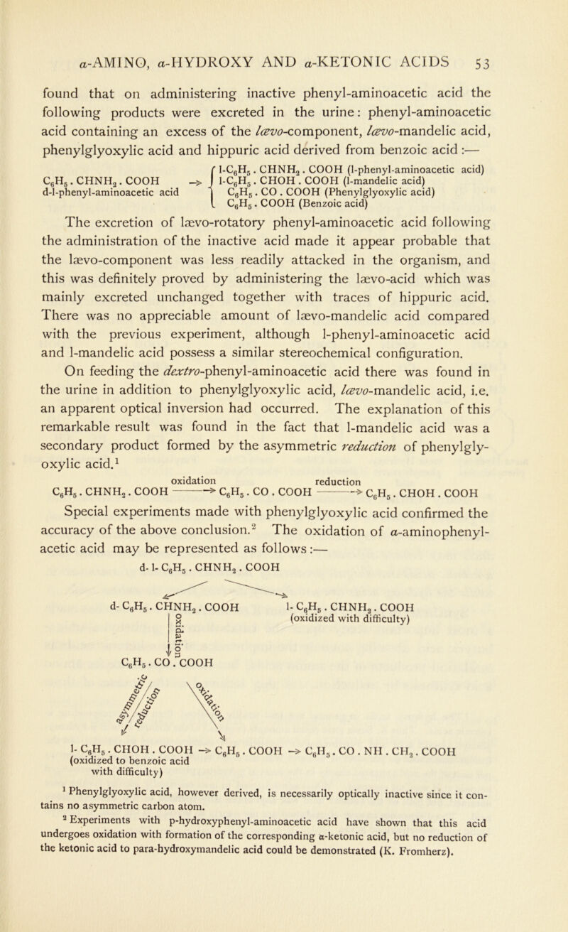 C6H6.CHNH„. COOH d-l-phenyl-aminoacetic acid found that on administering inactive phenyl-aminoacetic acid the following products were excreted in the urine: phenyl-aminoacetic acid containing an excess of the /^zw-component, Icevo-mandelic acid, phenylglyoxylic acid and hippuric acid derived from benzoic acid :— 1-C6H5 . CHNH2 . COOH (1-phenyl-aminoacetic acid) 1-C6H5. CHOH . COOH (1-mandelic acid) C6H5 . CO . COOH (Phenylglyoxylic acid) C6H5 . COOH (Benzoic acid) The excretion of laevo-rotatory phenyl-aminoacetic acid following the administration of the inactive acid made it appear probable that the laevo-component was less readily attacked in the organism, and this was definitely proved by administering the laevo-acid which was mainly excreted unchanged together with traces of hippuric acid. There was no appreciable amount of laevo-mandelic acid compared with the previous experiment, although 1-phenyl-aminoacetic acid and 1-mandelic acid possess a similar stereochemical configuration. On feeding the dextro-phenyl-aminoacetic acid there was found in the urine in addition to phenylglyoxylic acid, Icevo-mandelic acid, i.e. an apparent optical inversion had occurred. The explanation of this remarkable result was found in the fact that 1-mandelic acid was a secondary product formed by the asymmetric reduction of phenylgly- oxylic acid.1 oxidation reduction -> C6H5. CO . COOH C6H6. CHNH2. COOH C6H5. CHOH. COOH Special experiments made with phenylglyoxylic acid confirmed the accuracy of the above conclusion.2 The oxidation of a-aminophenyl- acetic acid may be represented as follows:— d-1- C6H5.CHNH2.COOH d- C6H5. CHNH2. COOH o X 51 w rt- »—• • CfiHg. CO . COOH CHNHVCOOH (oxidized with difficulty) c6h6 1- C6H5. CHOH . COOH -> C6Hb (oxidized to benzoic acid with difficulty) COOH -> CfiH.. CO . Nil. CH,. COOH 1 Phenylglyoxylic acid, however derived, is necessarily optically inactive since it con- tains no asymmetric carbon atom. 2 Experiments with p-hydroxyphenyl-aminoacetic acid have shown that this acid undergoes oxidation with formation of the corresponding a-ketonic acid, but no reduction of the ketonic acid to para-hydroxymandelic acid could be demonstrated (K. Fromherz).