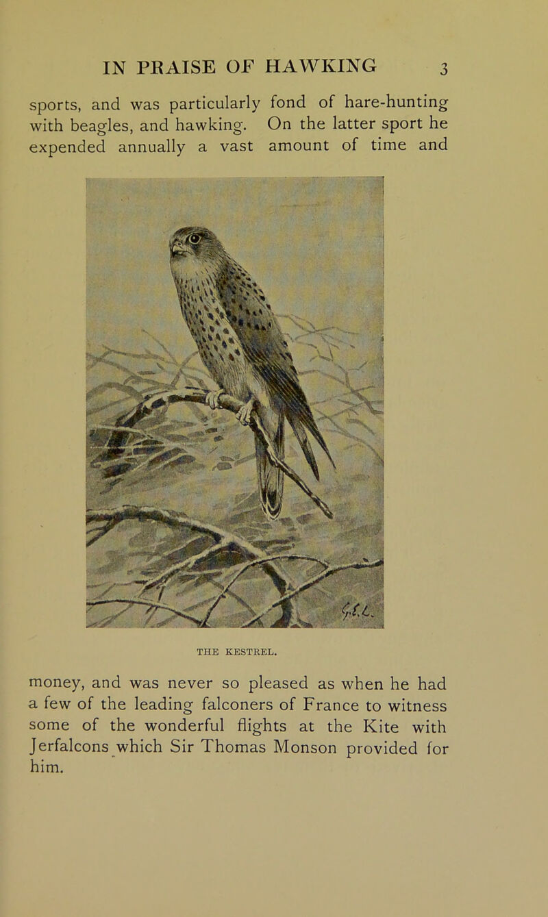 sports, and was particularly fond of hare-hunting with beagles, and hawking. On the latter sport he expended annually a vast amount of time and THE KESTREL. money, and was never so pleased as when he had a few of the leading falconers of France to witness some of the wonderful flights at the Kite with Jerfalcons which Sir Thomas Monson provided for him.