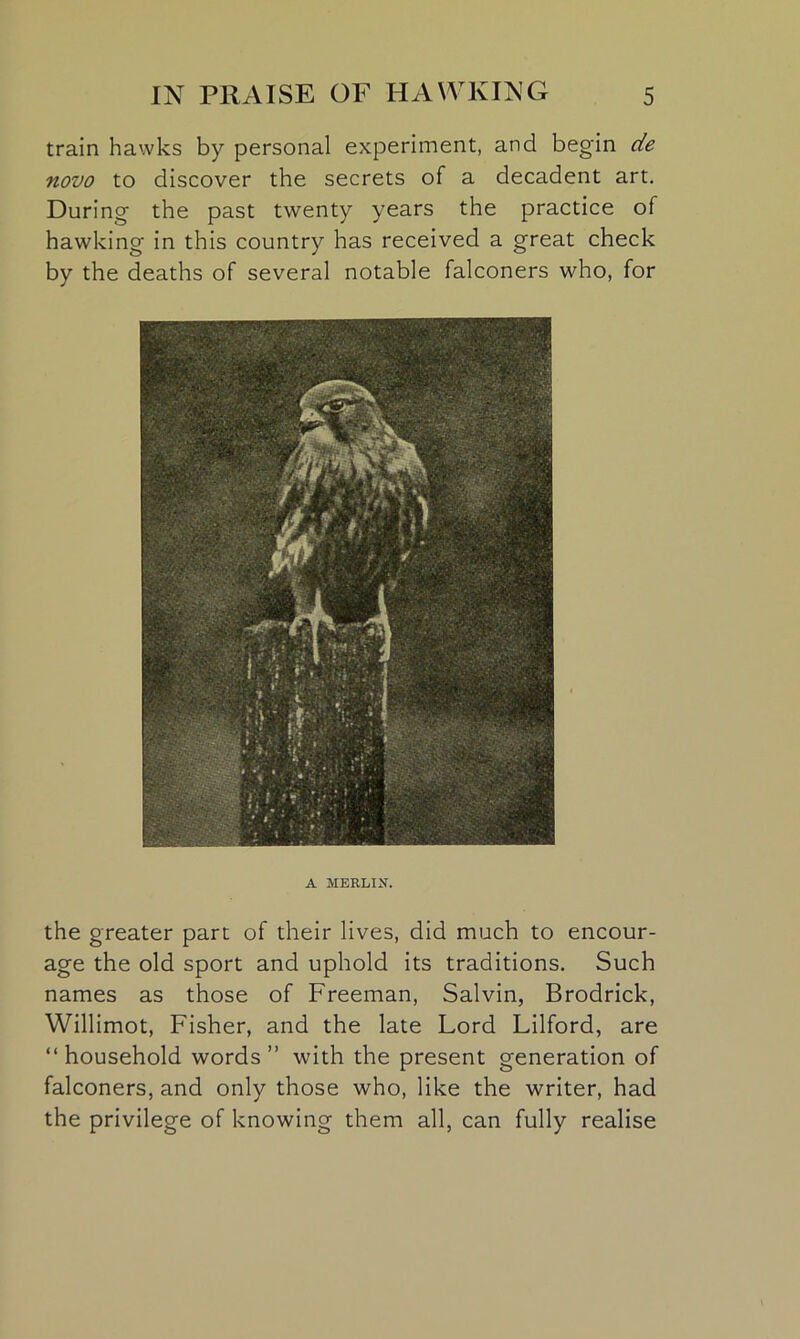 train hawks by personal experiment, and begin de novo to discover the secrets of a decadent art. During the past twenty years the practice of hawking in this country has received a great check by the deaths of several notable falconers who, for A MERLIN. the greater part of their lives, did much to encour- age the old sport and uphold its traditions. Such names as those of Freeman, Salvin, Brodrick, Willimot, Fisher, and the late Lord Lilford, are “ household words ” with the present generation of falconers, and only those who, like the writer, had the privilege of knowing them all, can fully realise