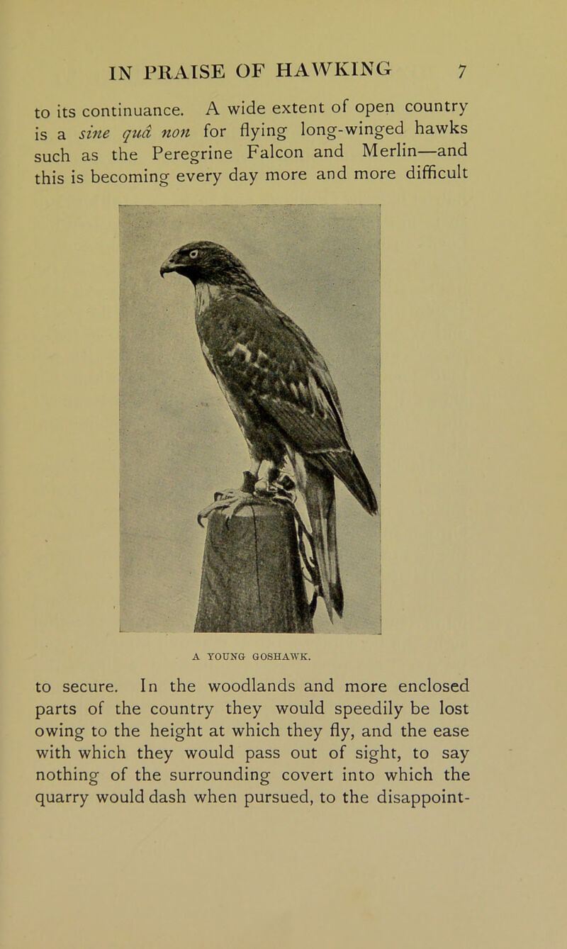 to its continuance. A wide extent of open country is a sine qua non for flying long-winged hawks such as the Peregrine Falcon and Merlin—and this is becoming every day more and more difficult A YOUNG GOSHAWK. to secure. In the woodlands and more enclosed parts of the country they would speedily be lost owing to the height at which they fly, and the ease with which they would pass out of sight, to say nothing of the surrounding covert into which the quarry would dash when pursued, to the disappoint-